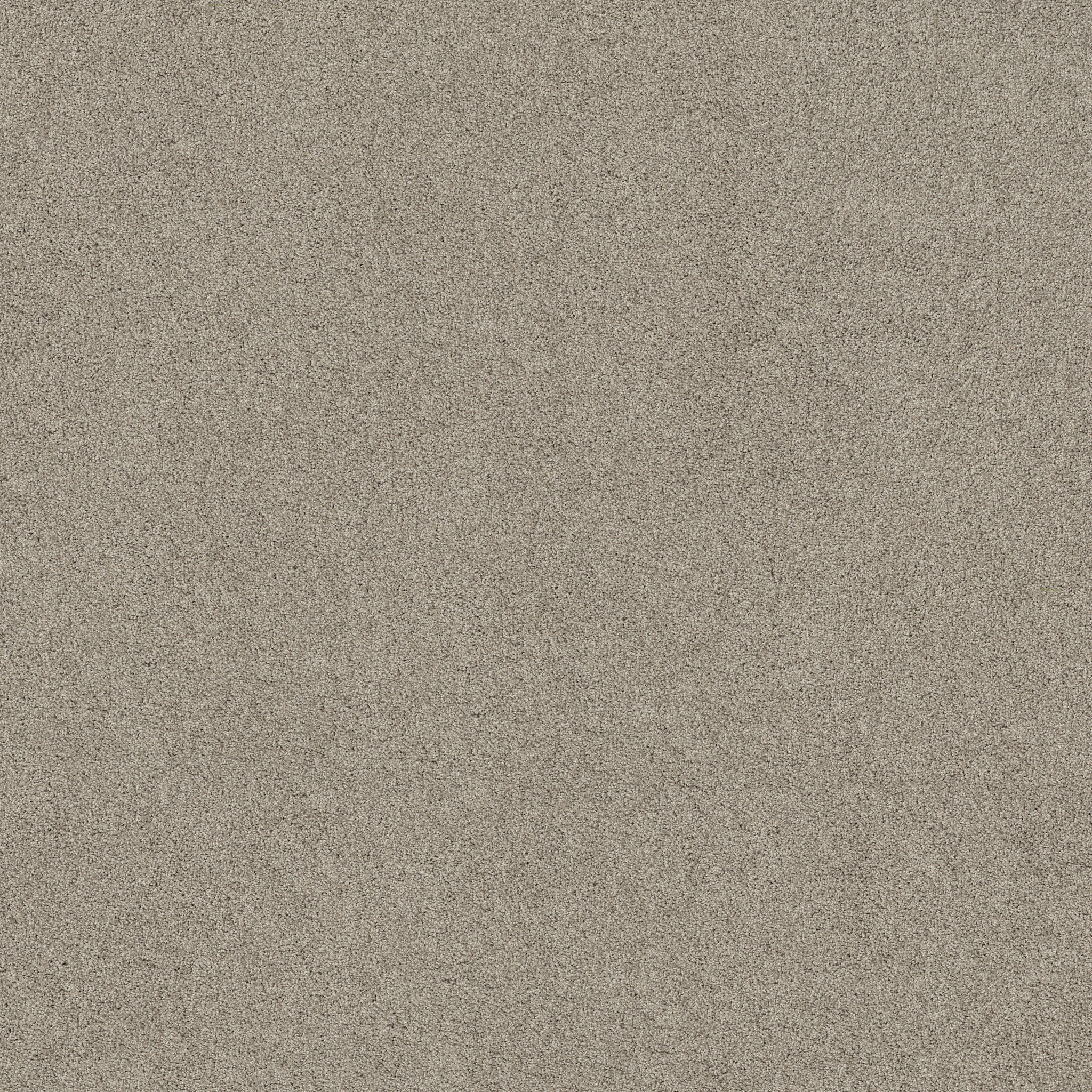 ACADIA PARK SHALE MAIN