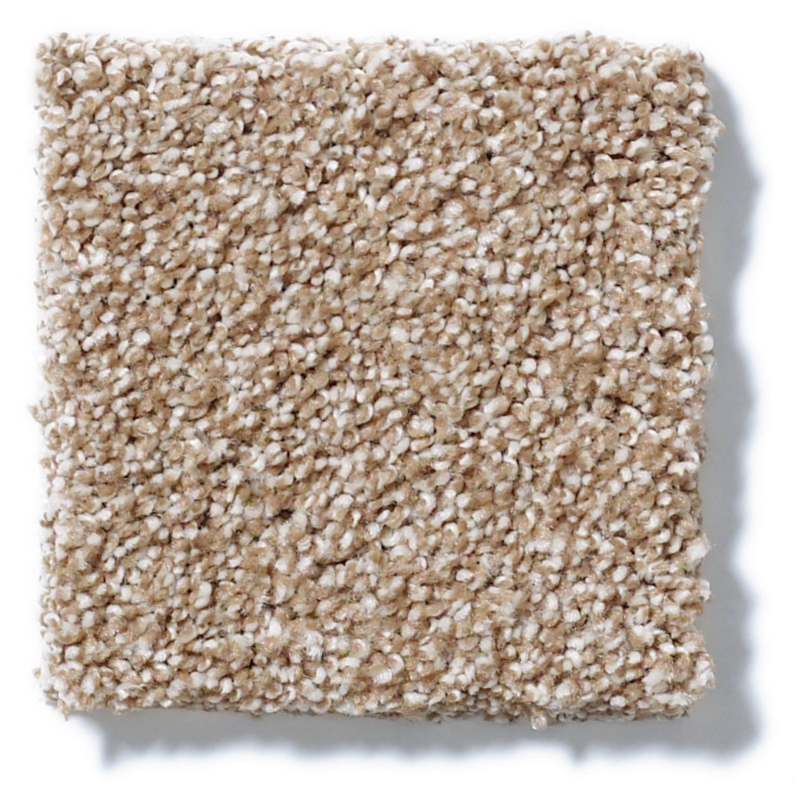 ALWAYS READY I WARMTH SWATCH