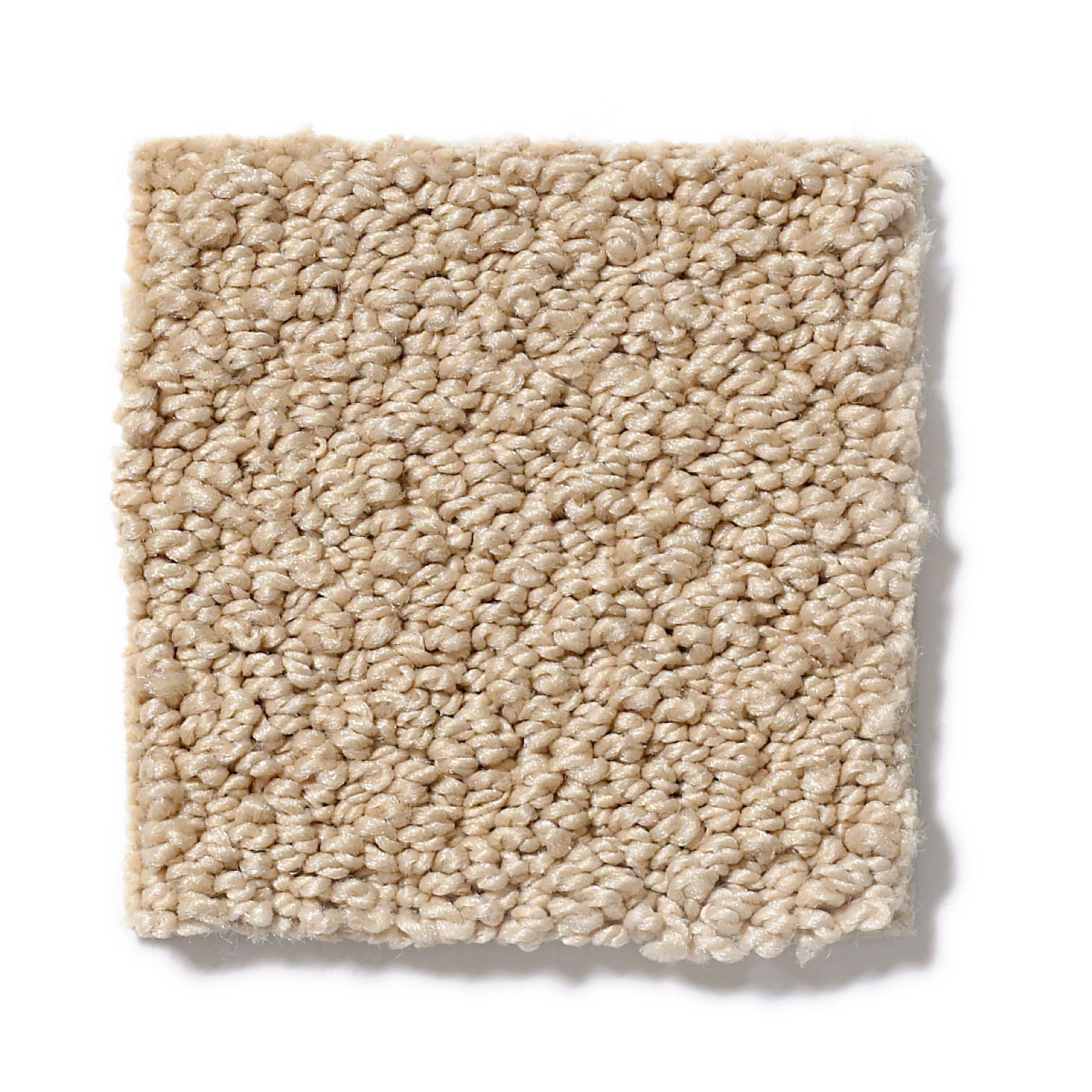 SINCERE BEAUTY LOOP MESA SWATCH