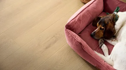 Contemporary living room with stylish brown wood-look flooring and modern furniture. Modern living room with brown wood-look flooring, featuring a beige armchair, a light wood coffee table, and a gray sofa with decorative pillows