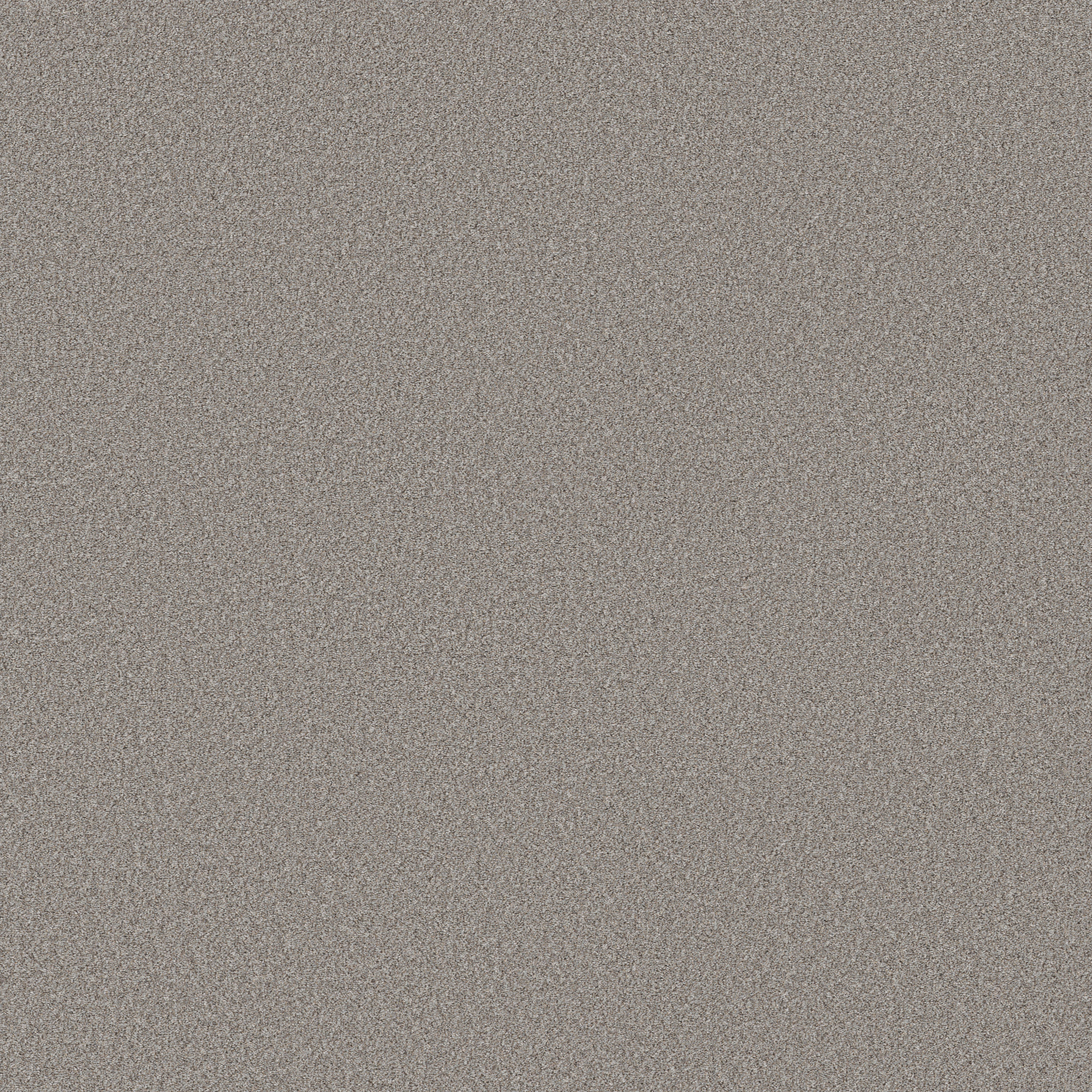 WONDERLAND II GREIGE MAIN