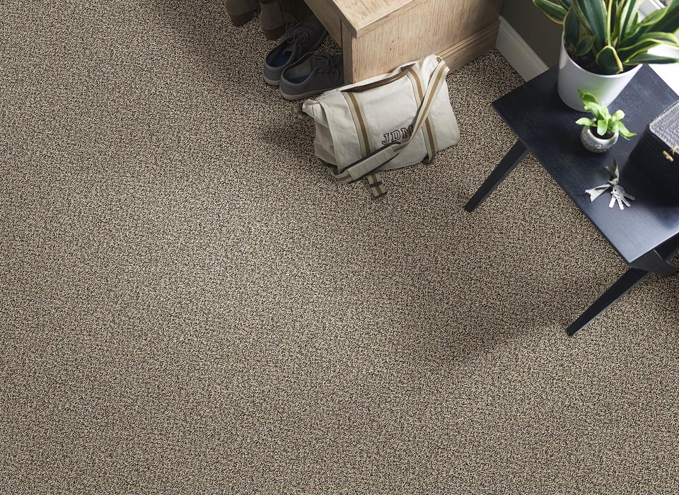 Bag and table on carpet