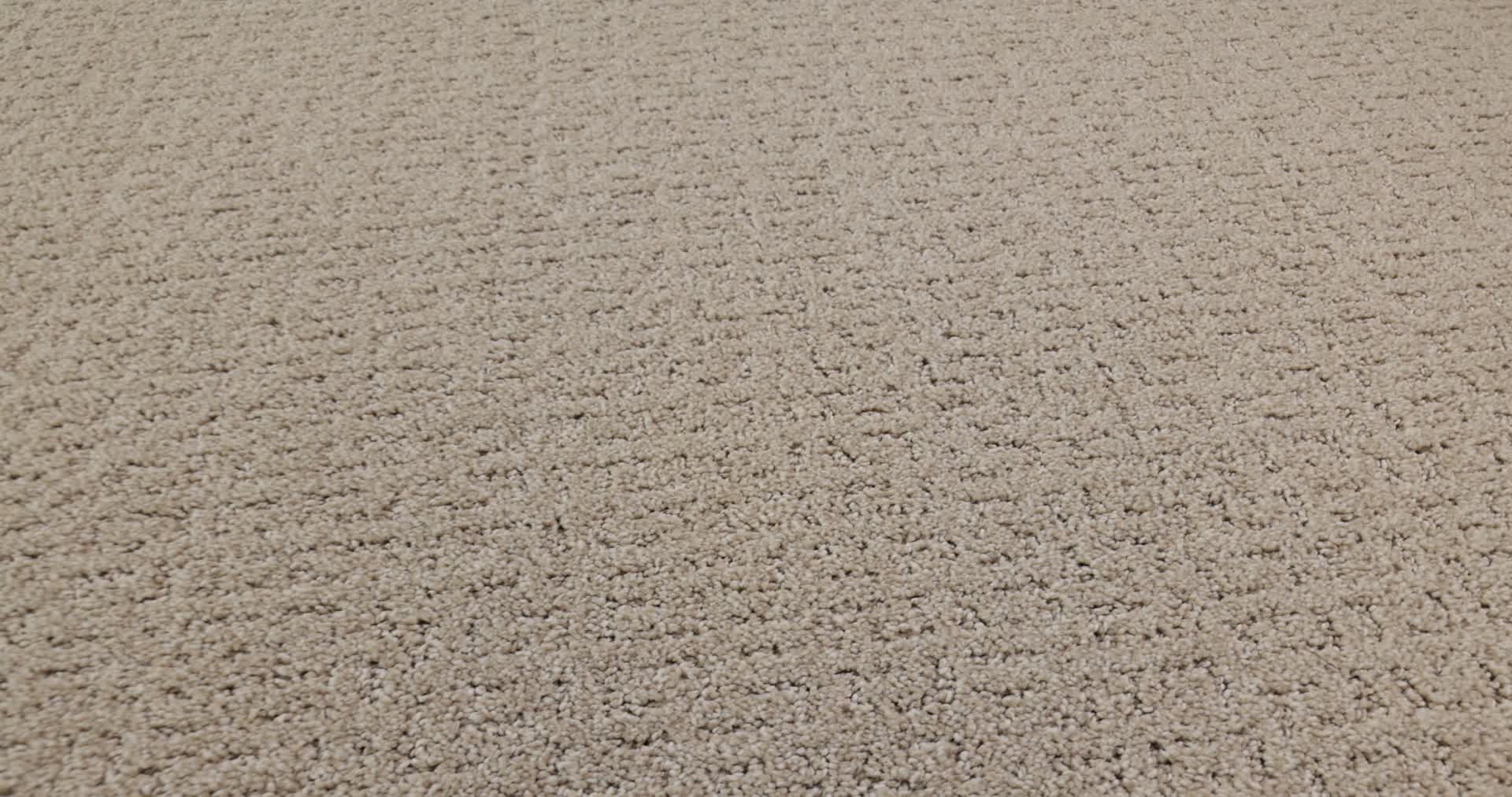 SECRET JOURNEY CAFE LATTE 360PROD