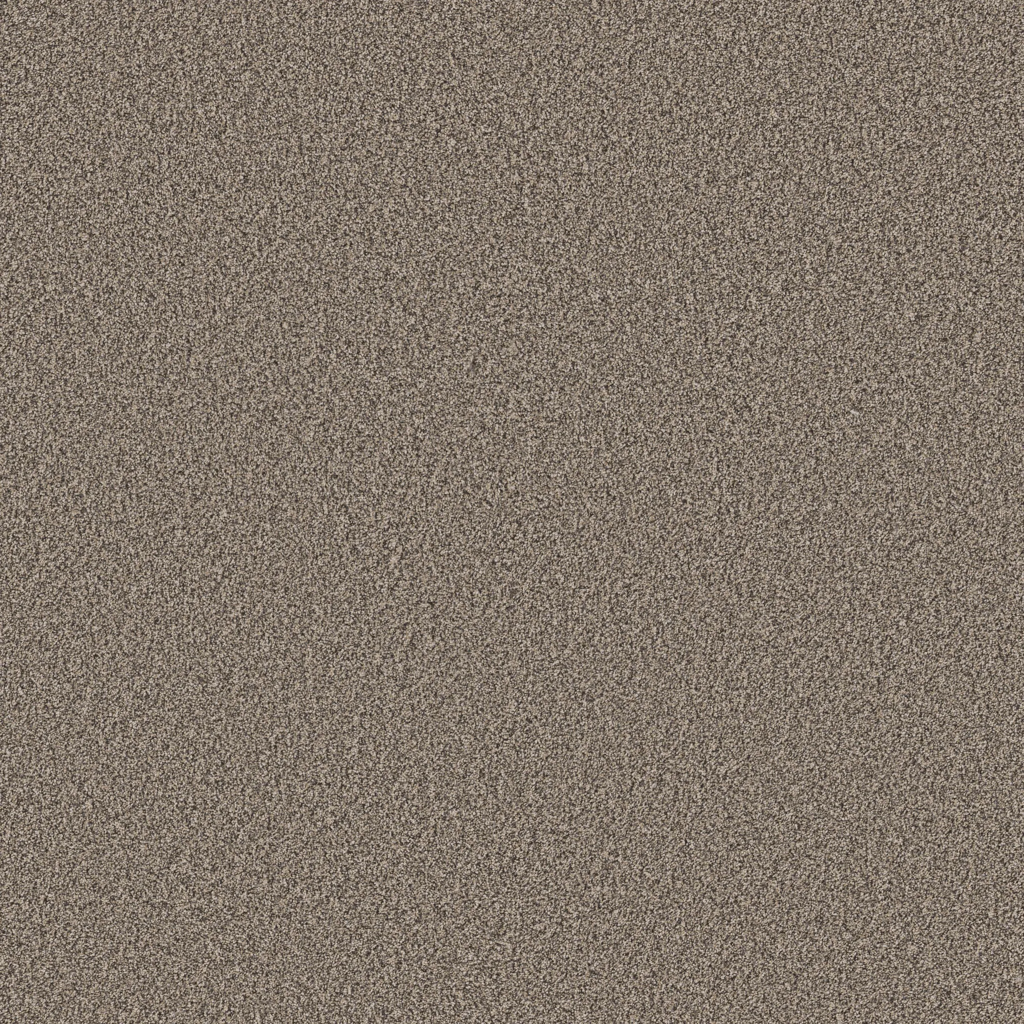 Beige textured carpet flooring swatch