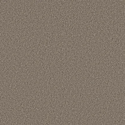 Beige Carpet Flooring Swatch - Soft Surface Flooring Beige textured carpet flooring swatch