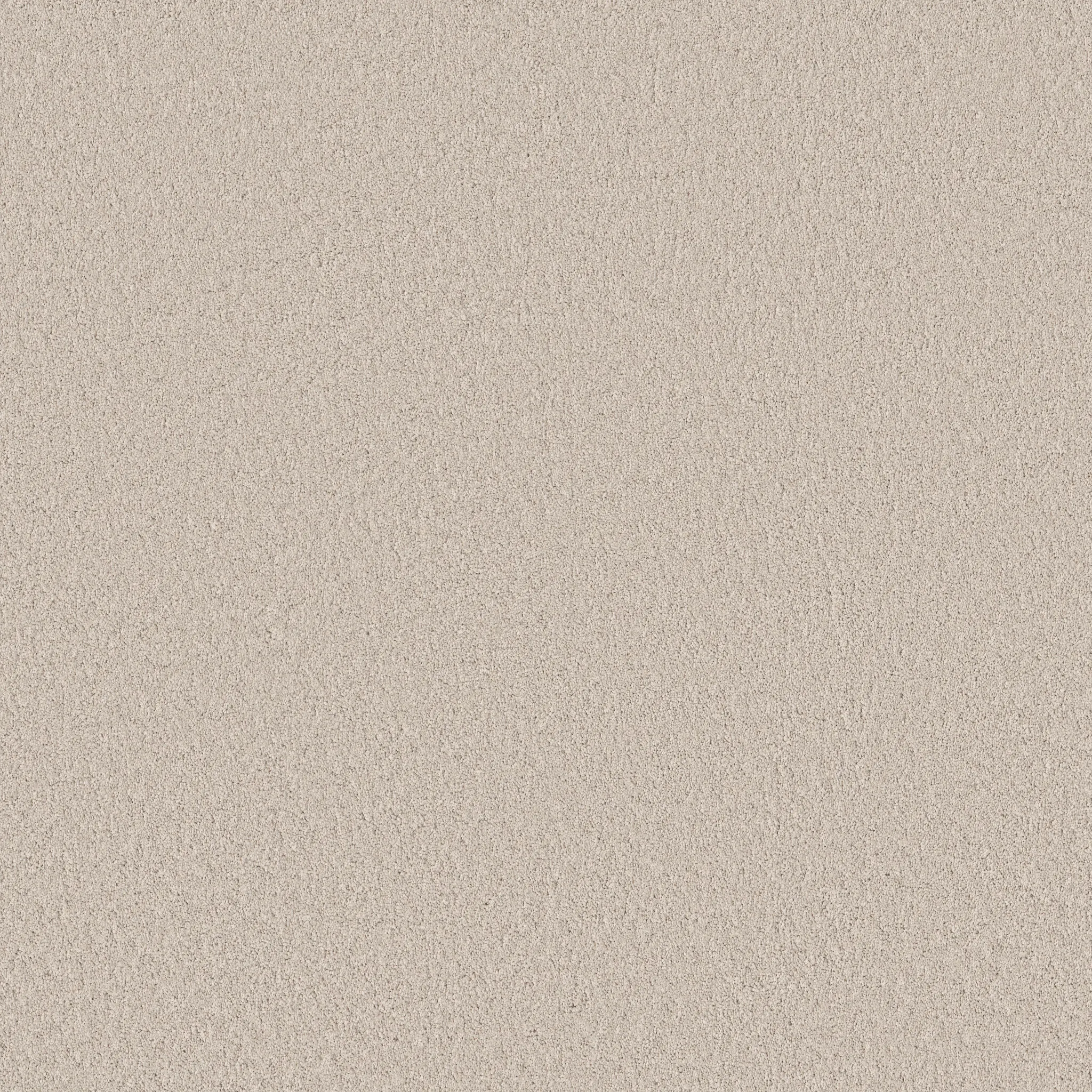 Beige carpet swatch showcasing a soft and durable texture, perfect for adding warmth and comfort to any home setting