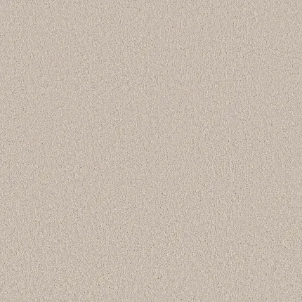 Beige Carpet Swatch - Soft and Durable Flooring for Everyday Comfort Beige carpet swatch showcasing a soft and durable texture, perfect for adding warmth and comfort to any home setting