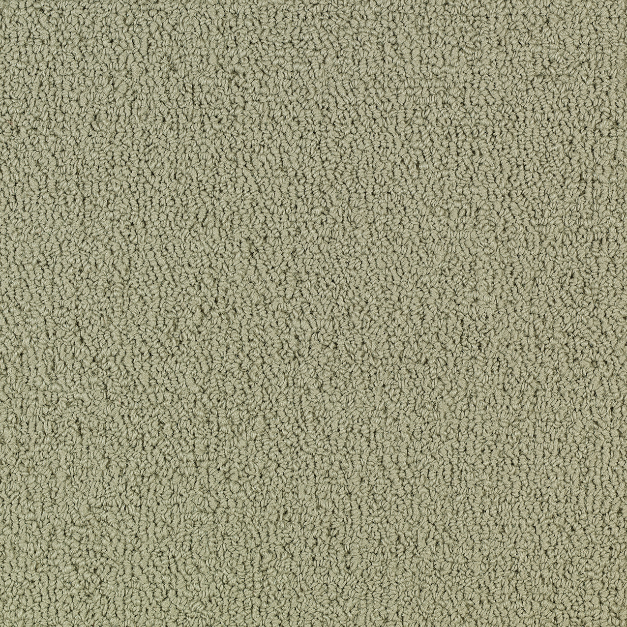 COLOR-ACCENTS-BL-54584-LIGHT-TAUPE-62104-main-image