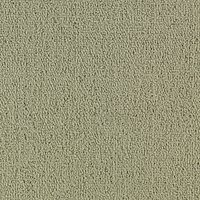 COLOR ACCENTS BL 54584 LIGHT TAUPE 62104 main image