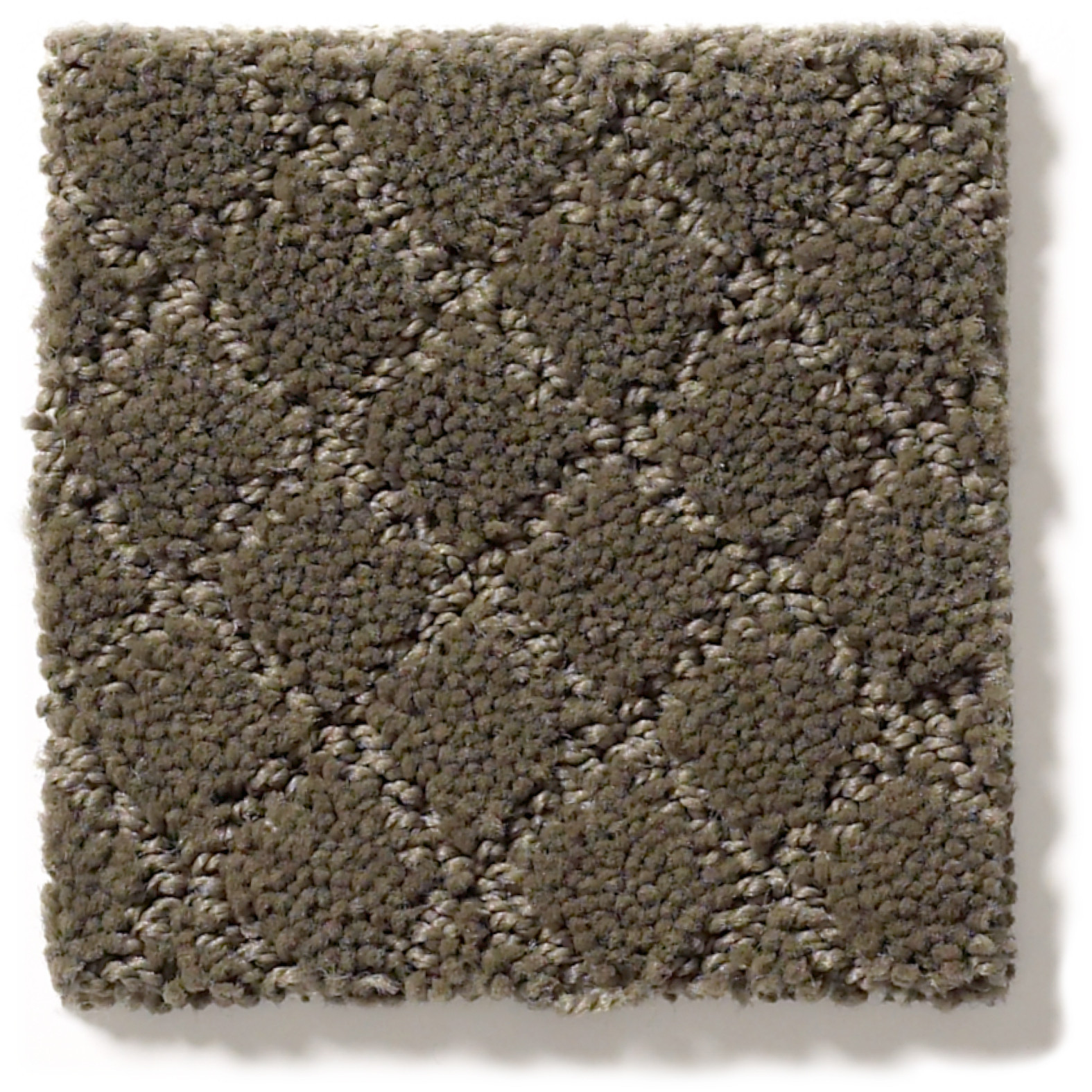 PAWNACHE OVERCOAT SWATCH