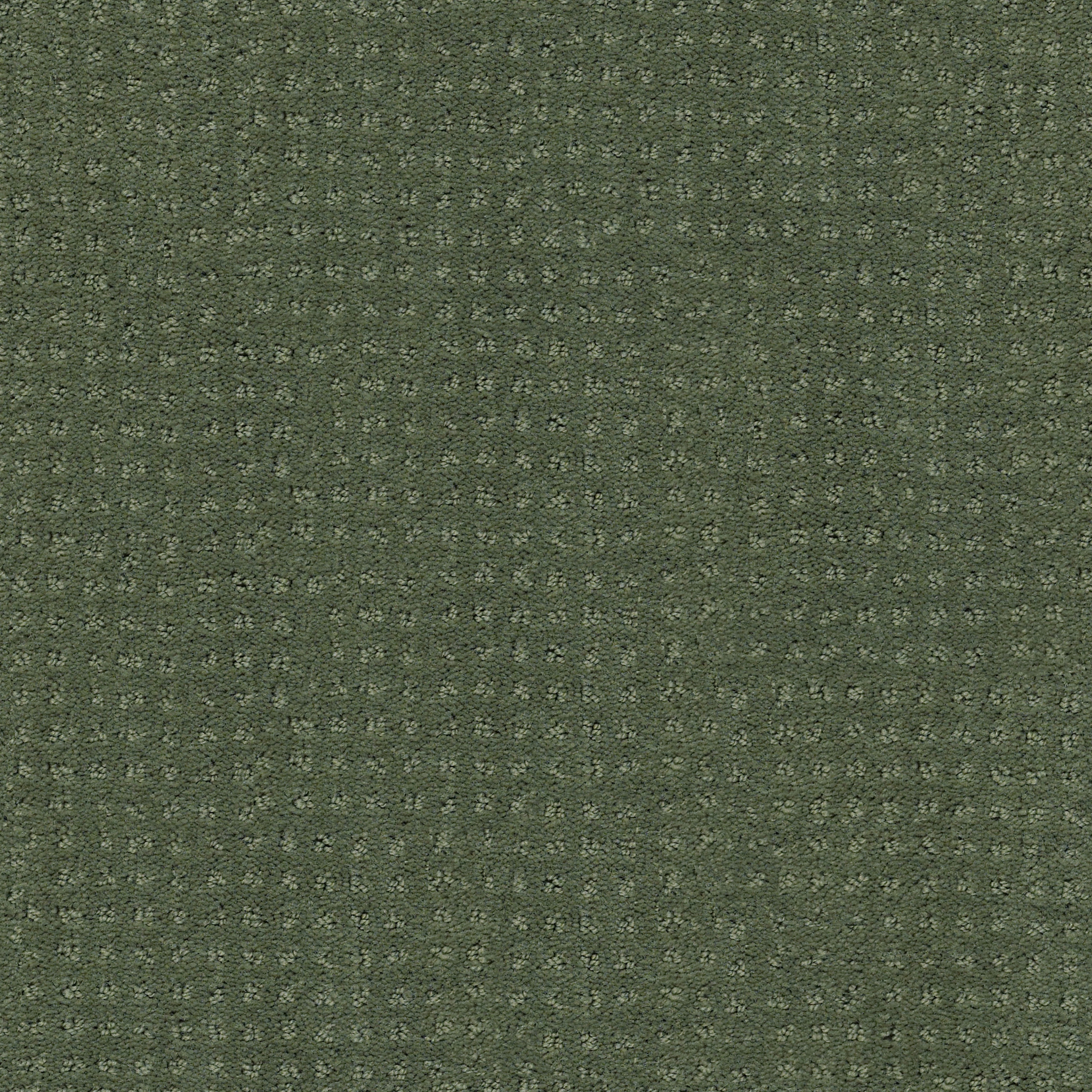 INSPIRED BY PATTERN BAY LAUREL MAIN