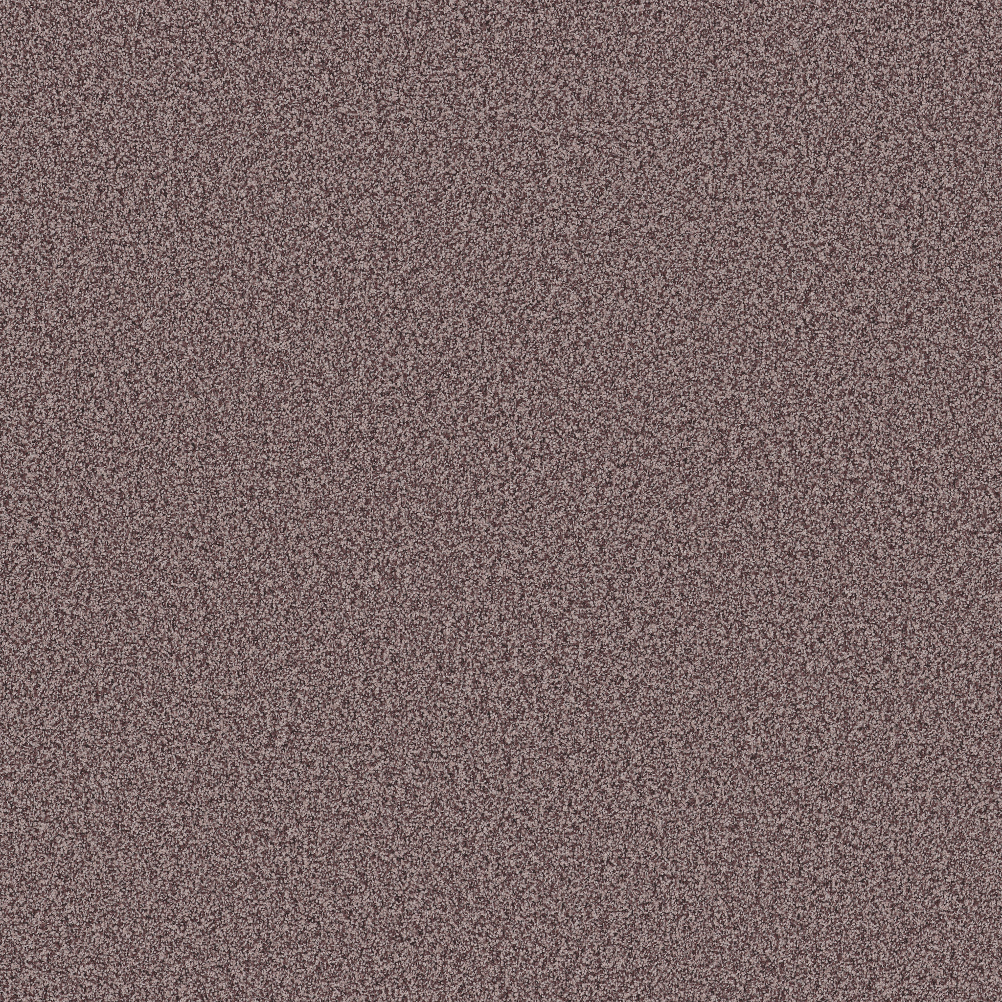 BELLA NOVA REVERIE MAIN