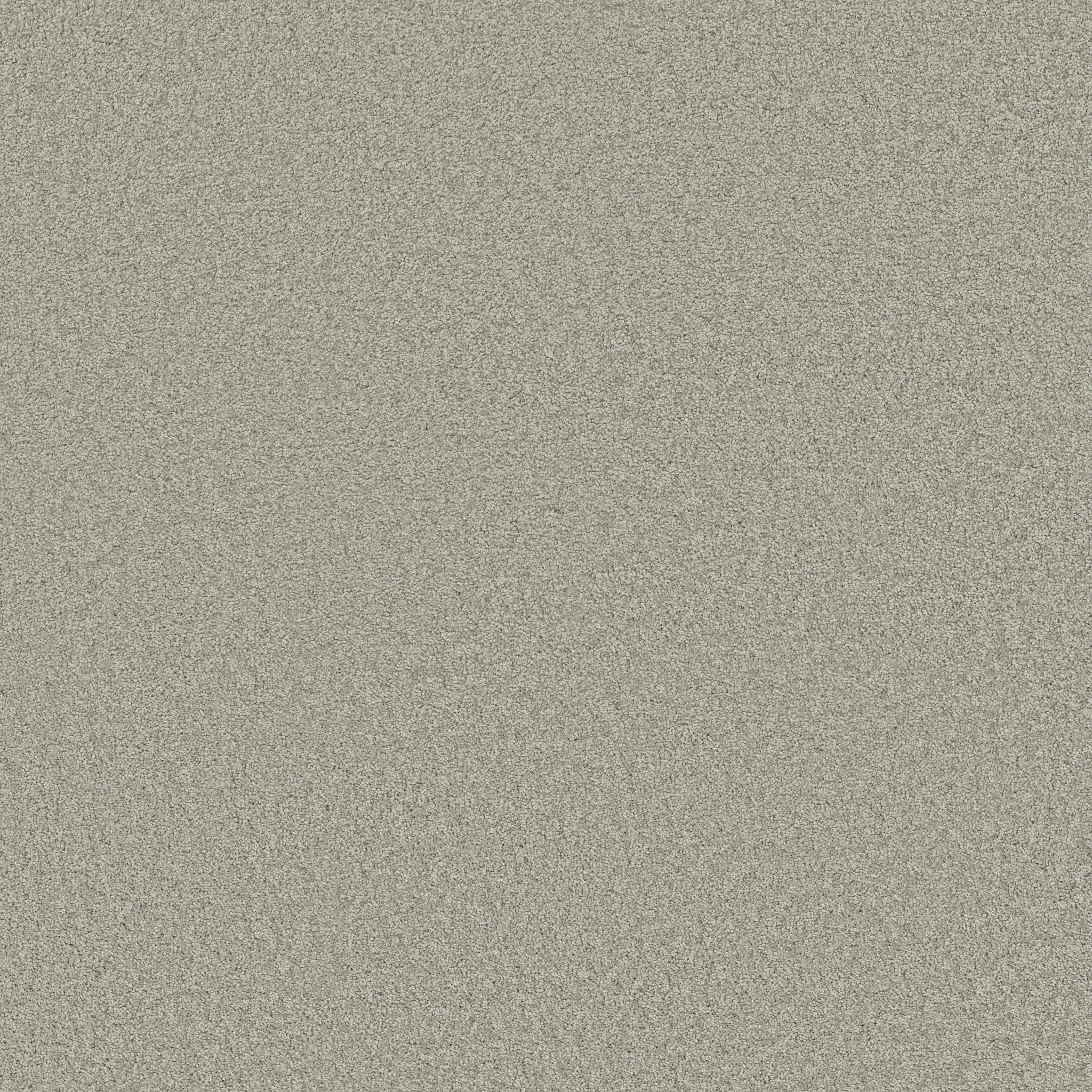 GRAND IMAGE III SHEER SILVER MAIN