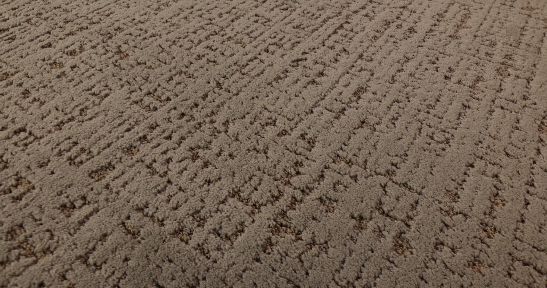 ADAIR MEET AND GREET 360PROD