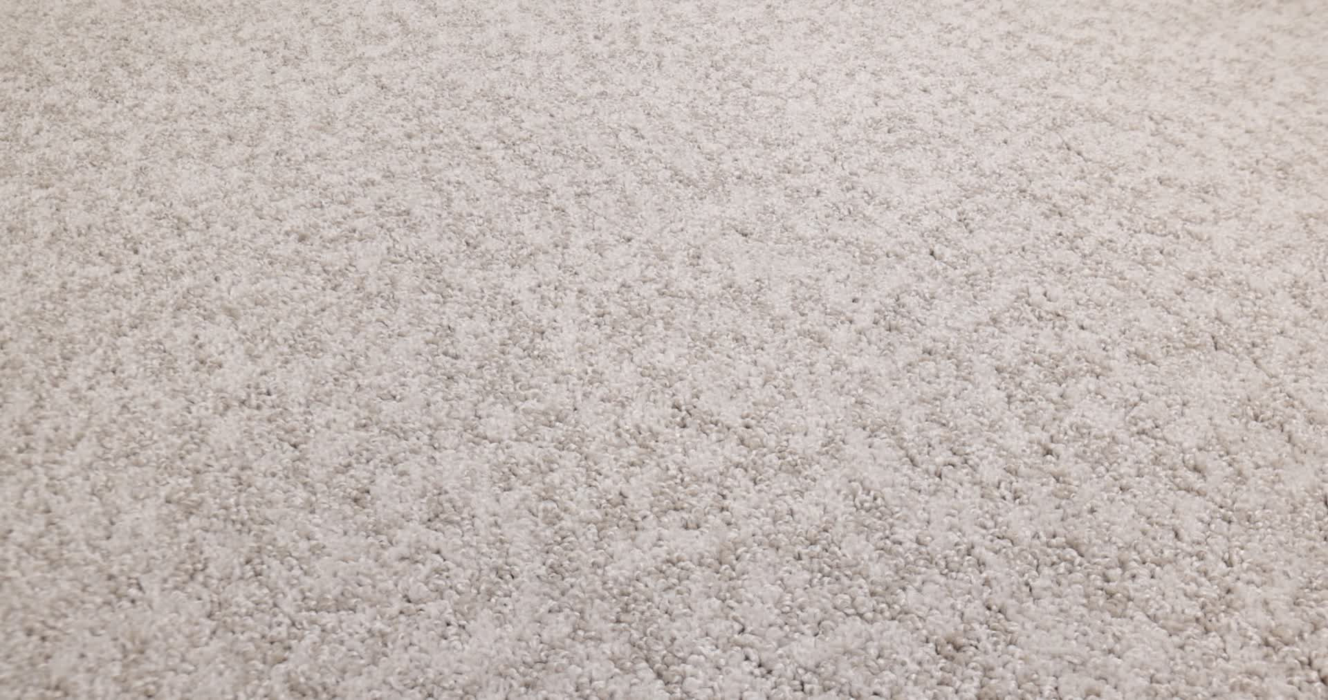 ALLURING CANVAS FOSSIL PATH 360PROD