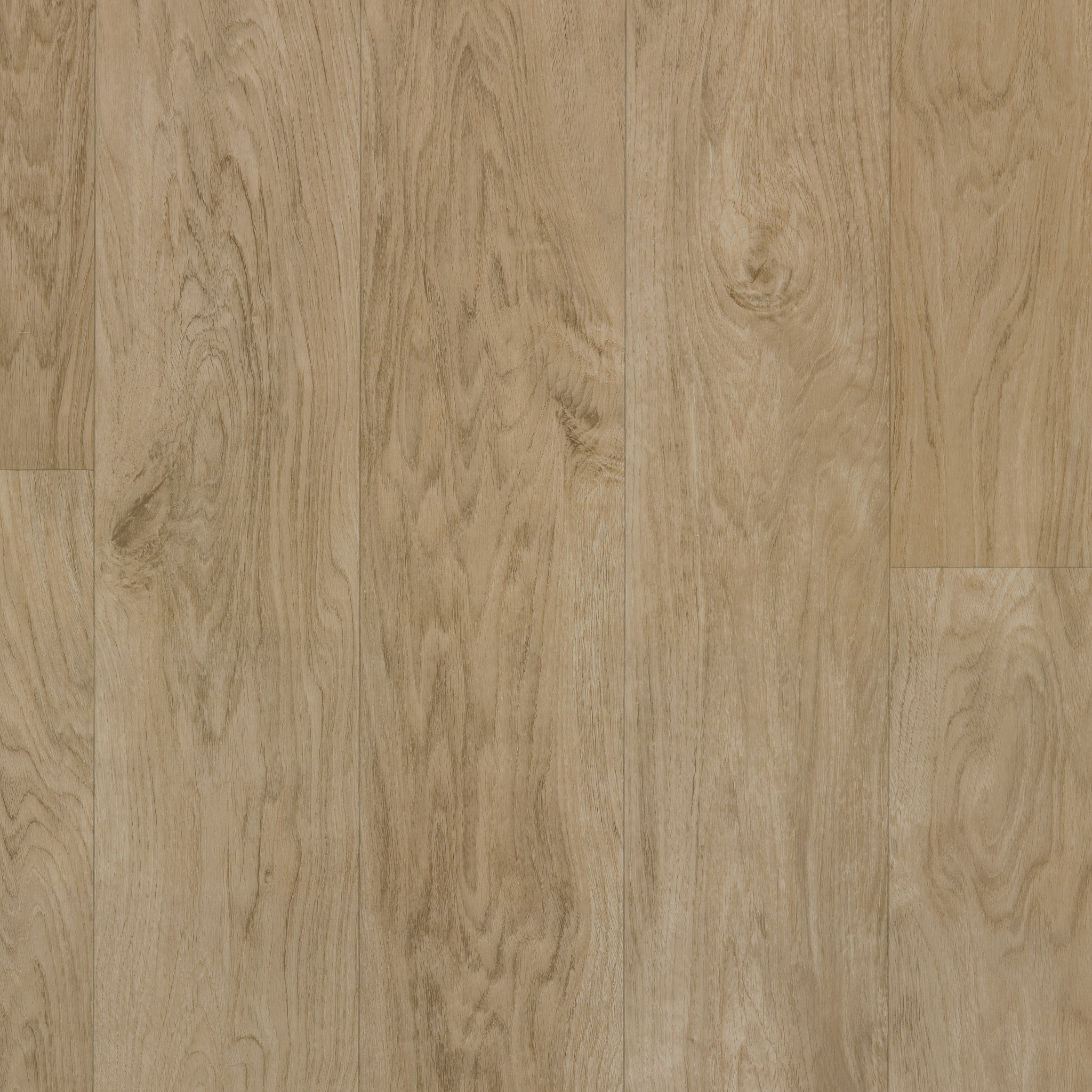 ORGANIC-STRUCTURE-5471V-SUGAR-09633-main-image