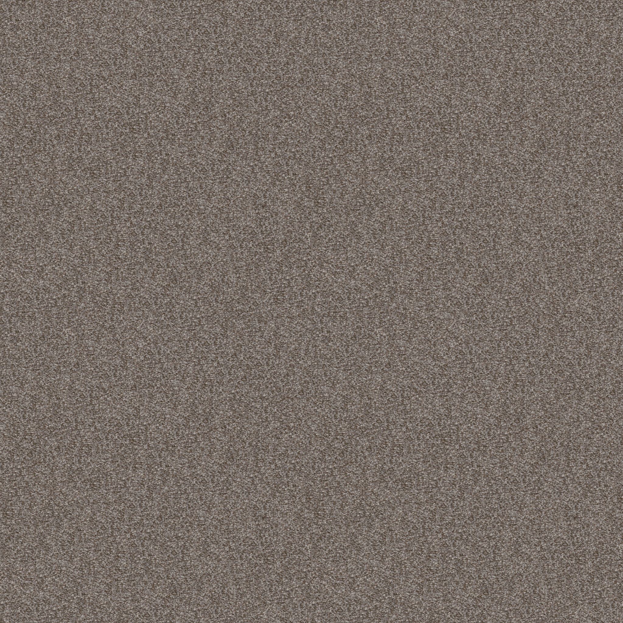 CABANA BAY TONAL WALKING TRAIL MAIN