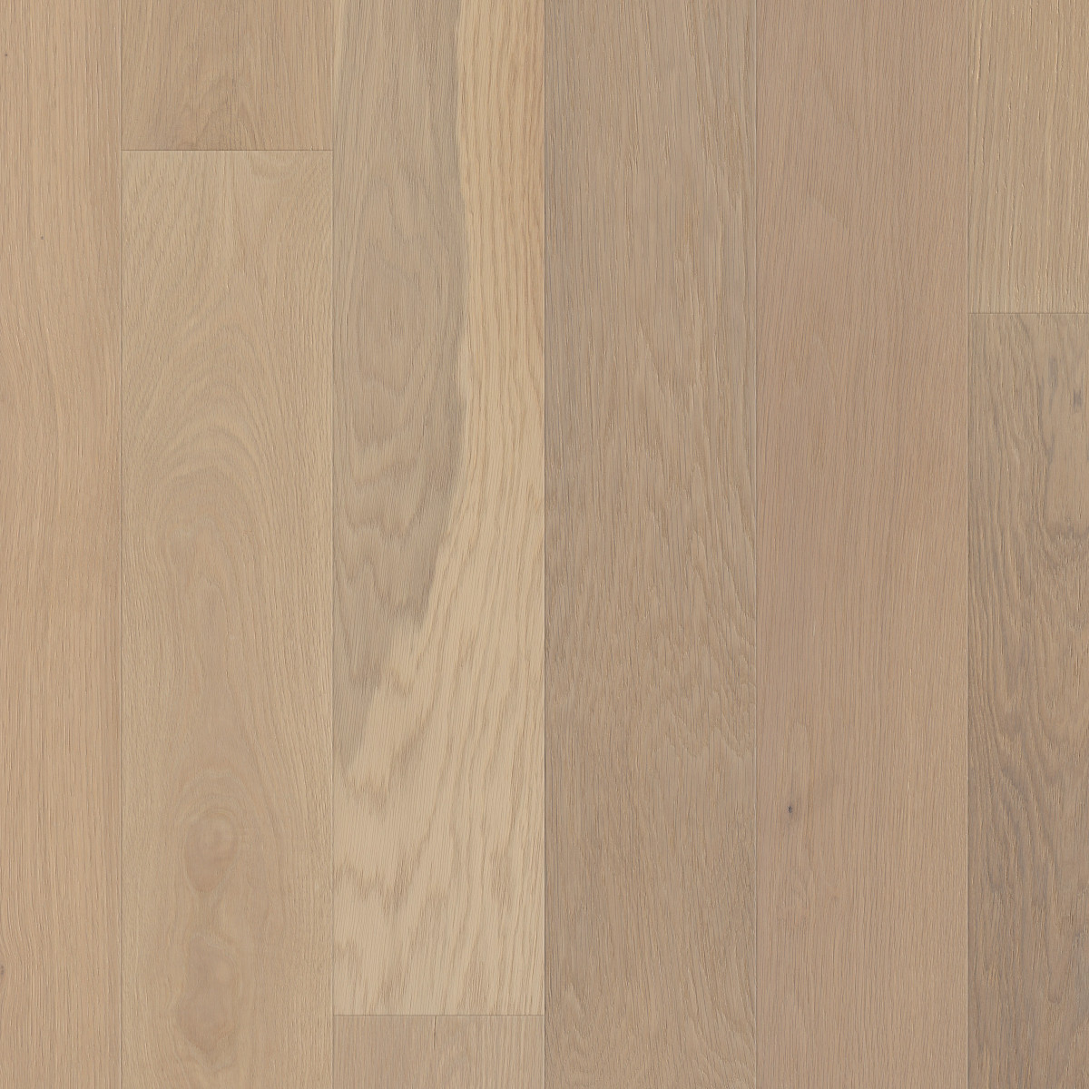 Americana Oak