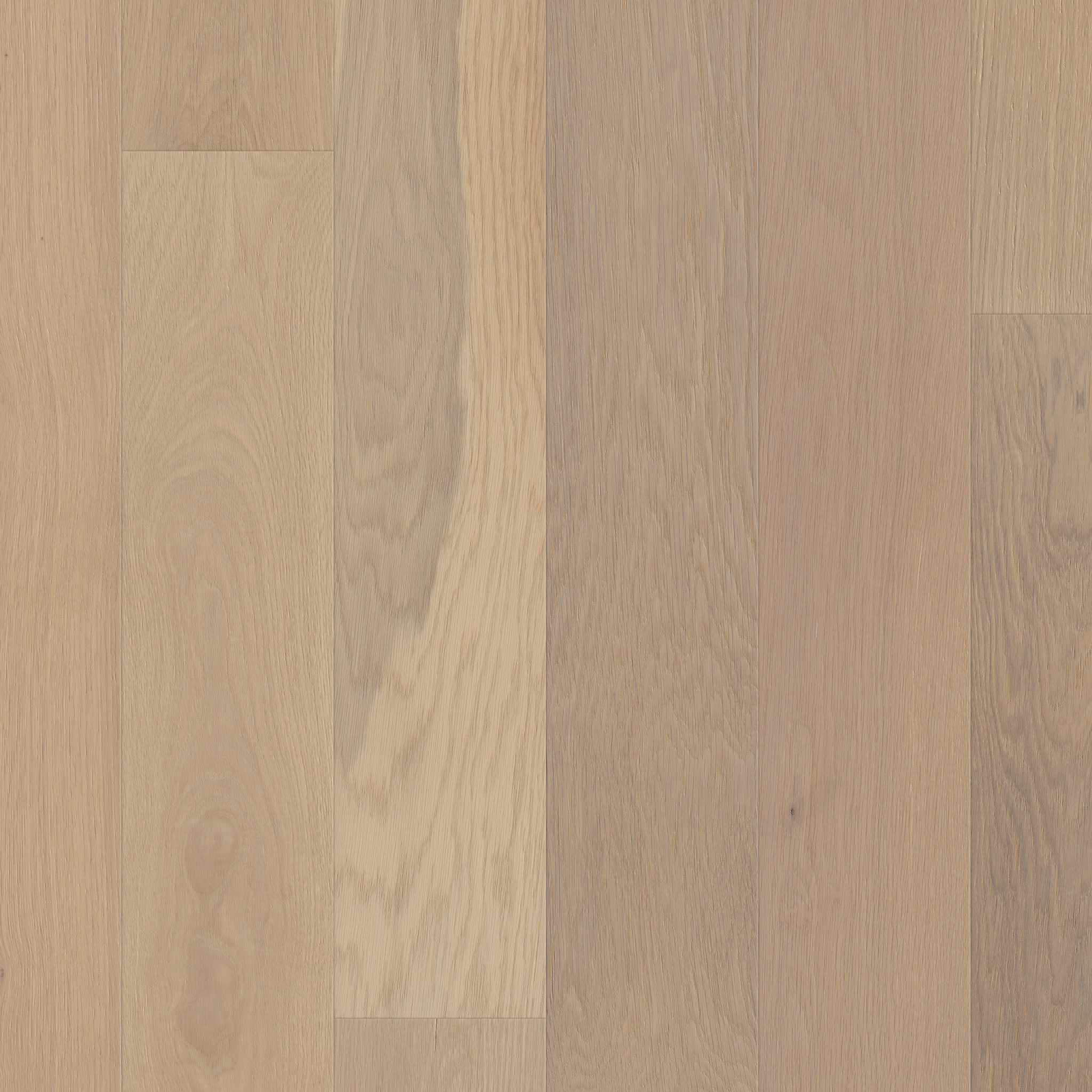 AMERICANA OAK ANTHEM MAIN