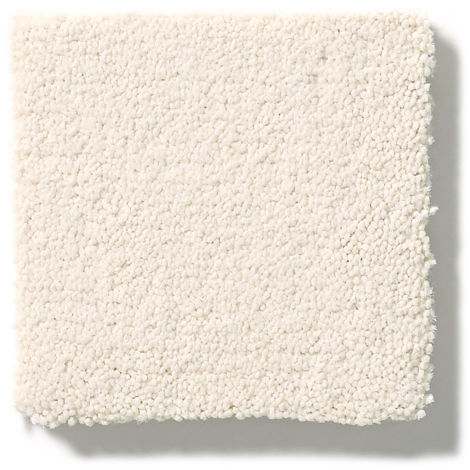 PERFECT CHOICE AGED PAPER SWATCH