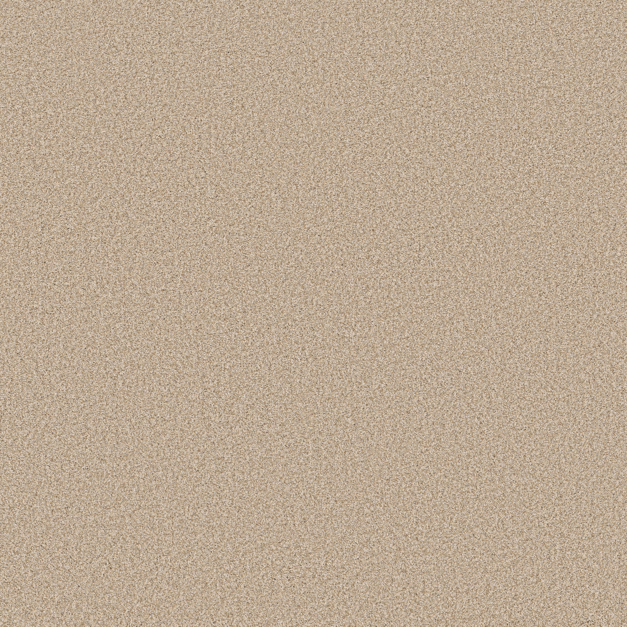 Somerset - 100% ANSO® High Performance Nylon in Windswept