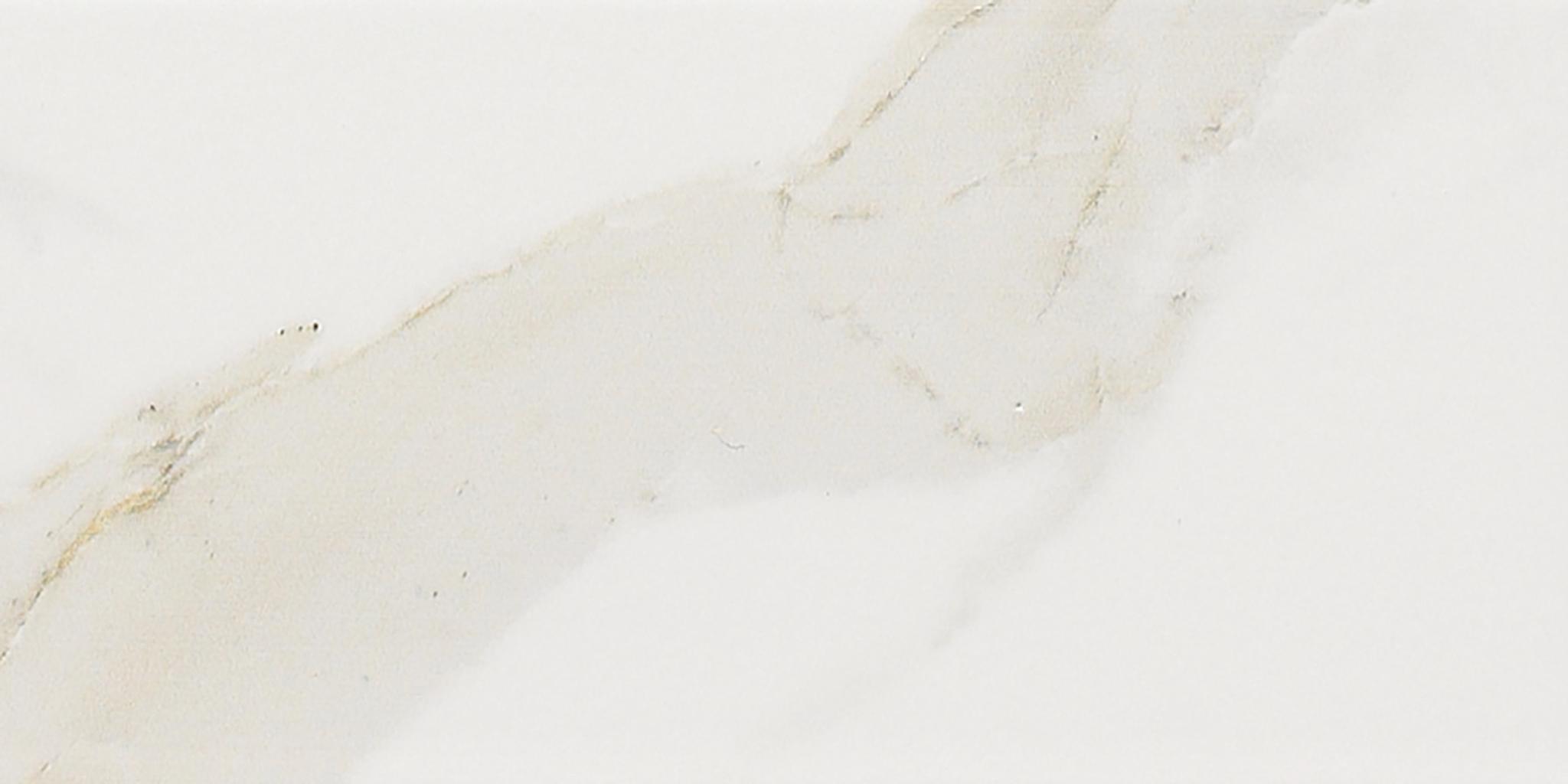 Maximus 3X6 Wall in Calacatta