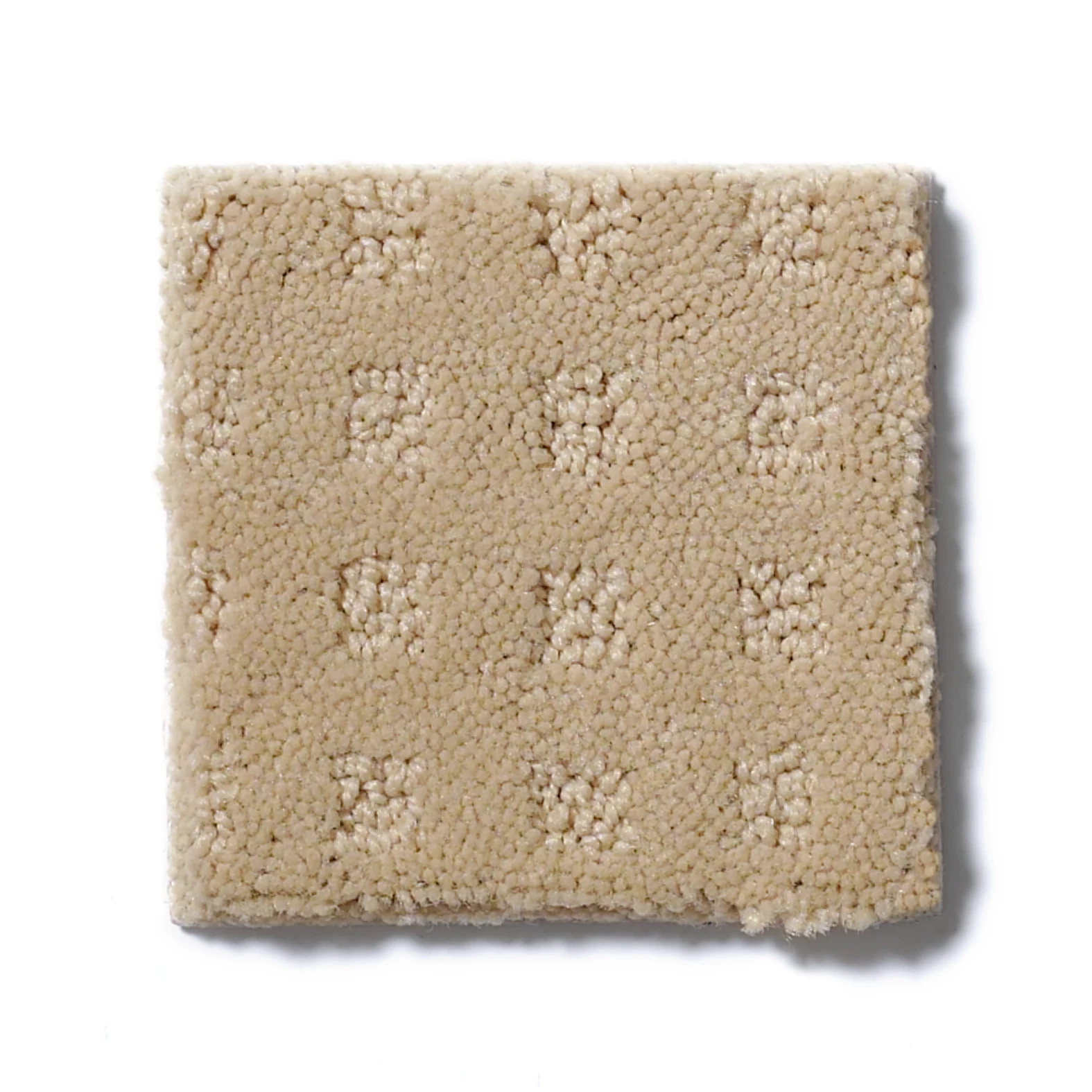 NOTTINGHAM ABALONE SWATCH