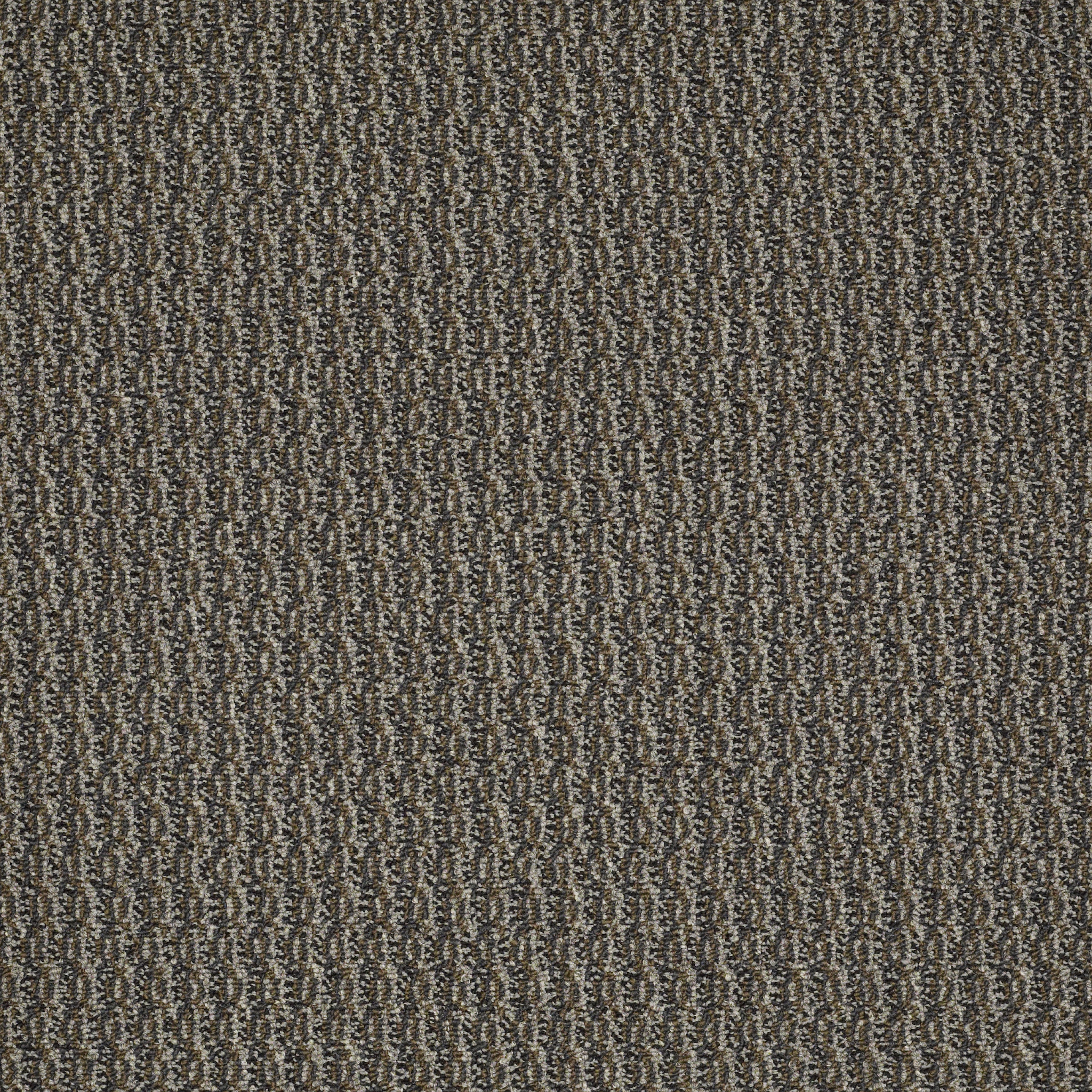 ON-TARGET-54803-ON-THE-NOSE-03510-main-image