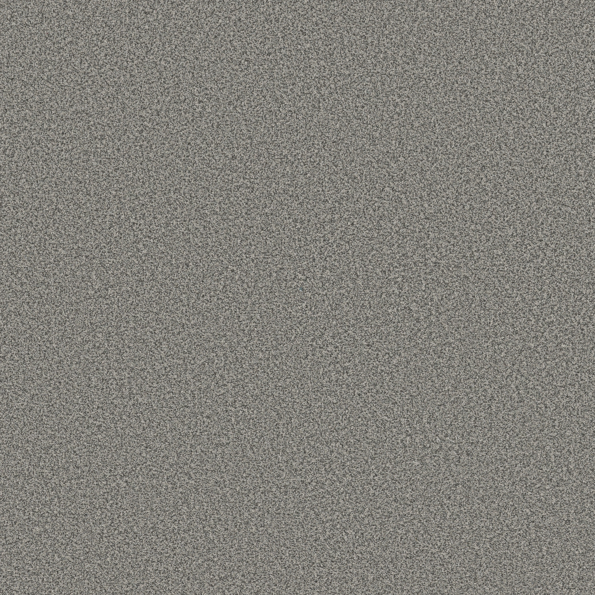 AVALON BAY PIXEL MAIN