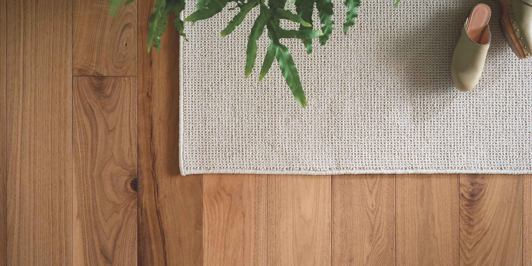 Close-up of a beige woven rug next to a wooden floor with green plant and shoes