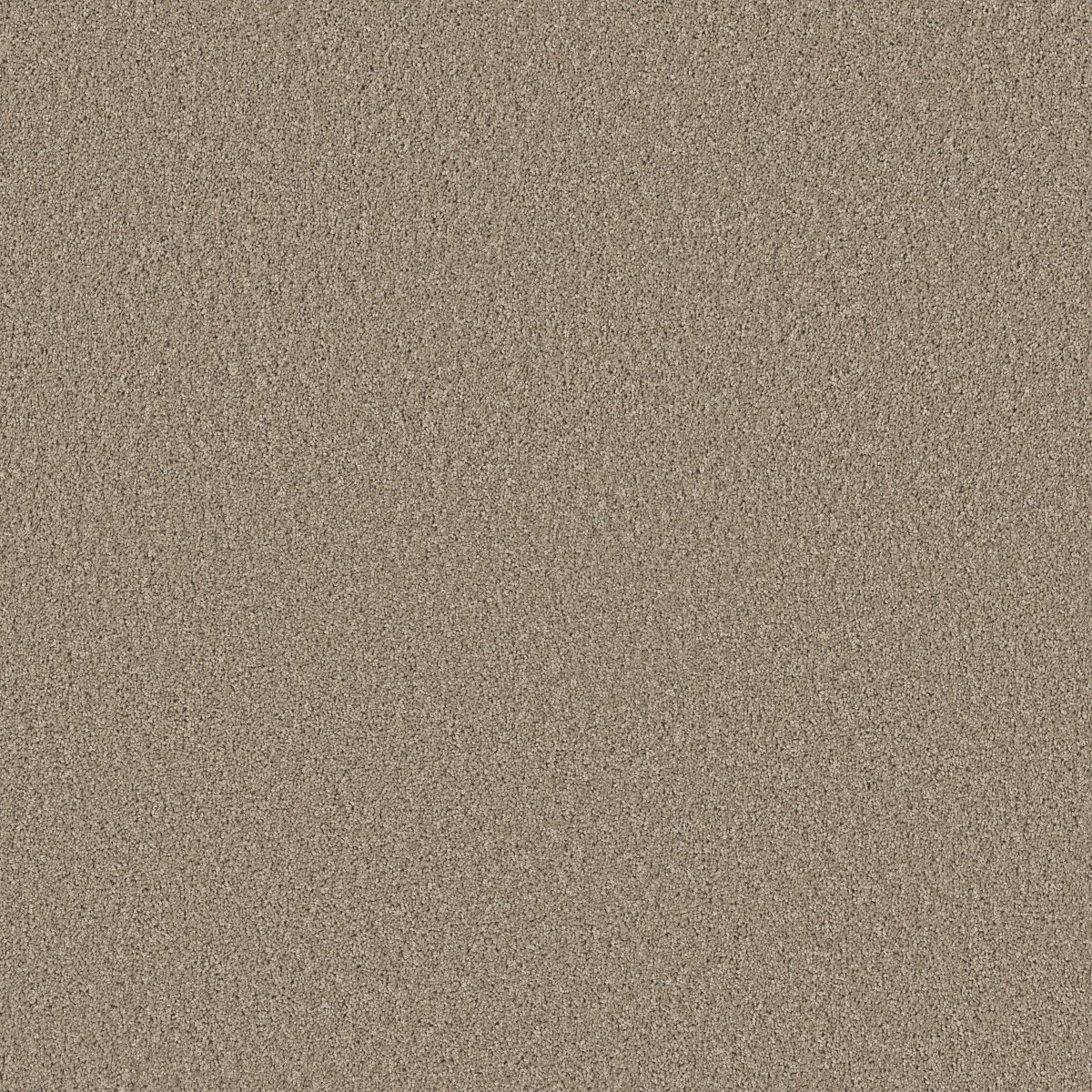 Shaw Floors HIGH IMPACT S — BROADSTREET