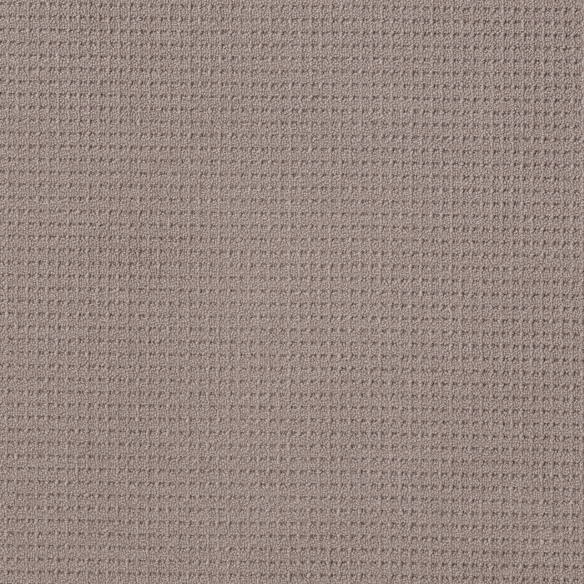 AG New Adventure MISTY WOODS MAIN