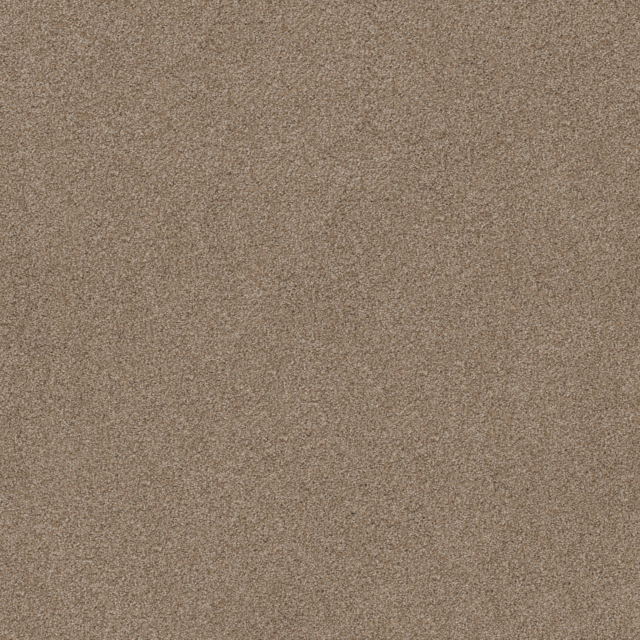 OPPORTUNITY KNOCKS SOMBRERO MAIN