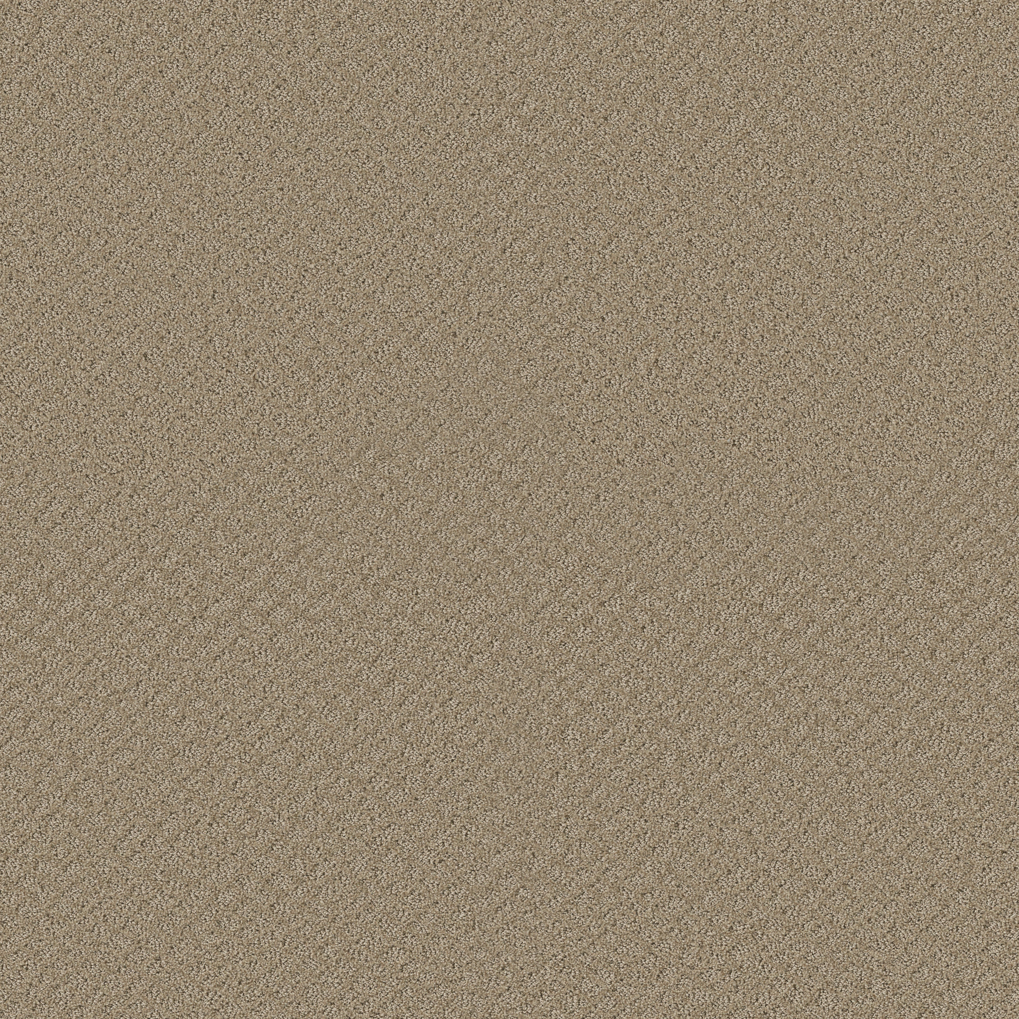 CHIC SHADES DESERT VIEW MAIN