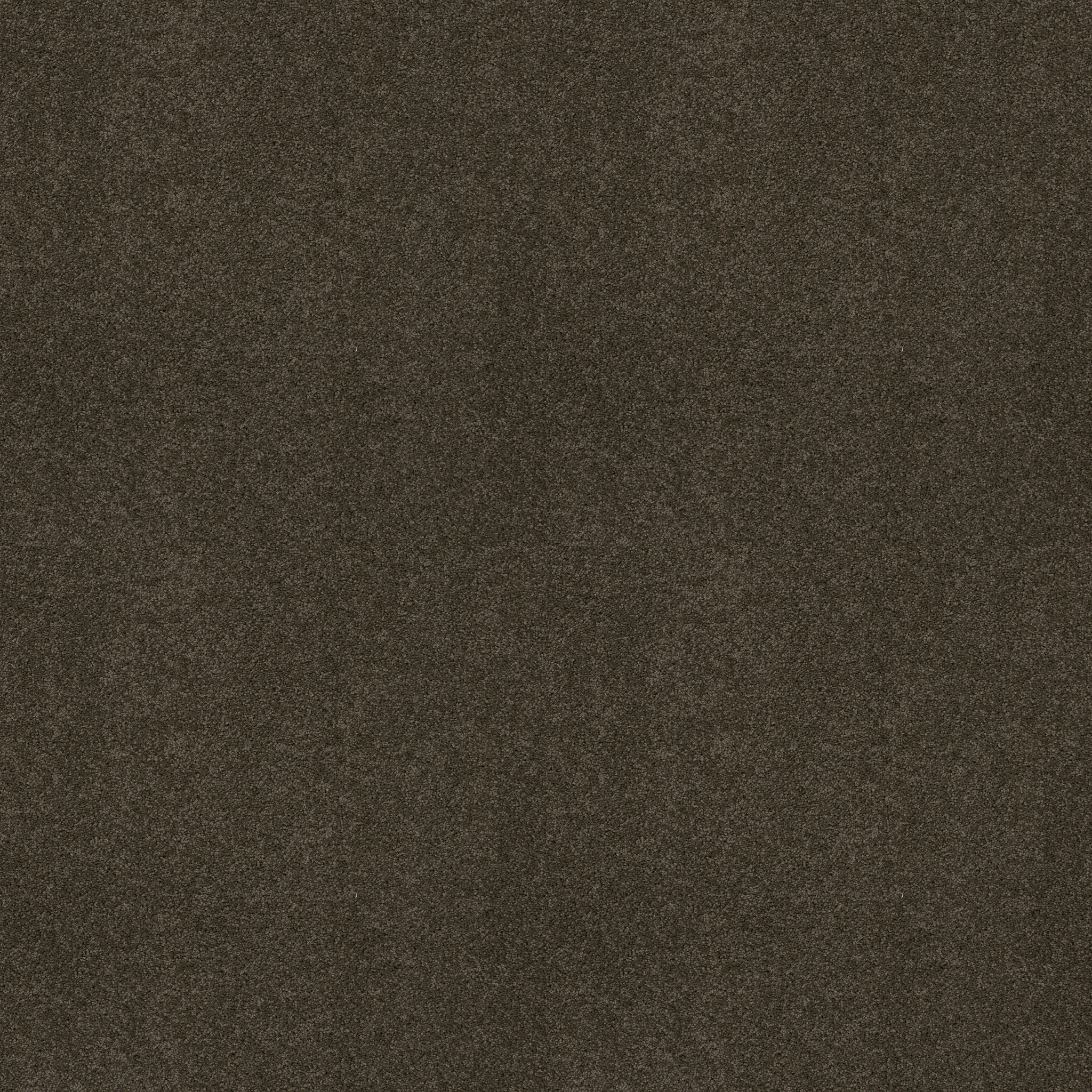 MY CHOICE III CHOCOLATE MAIN