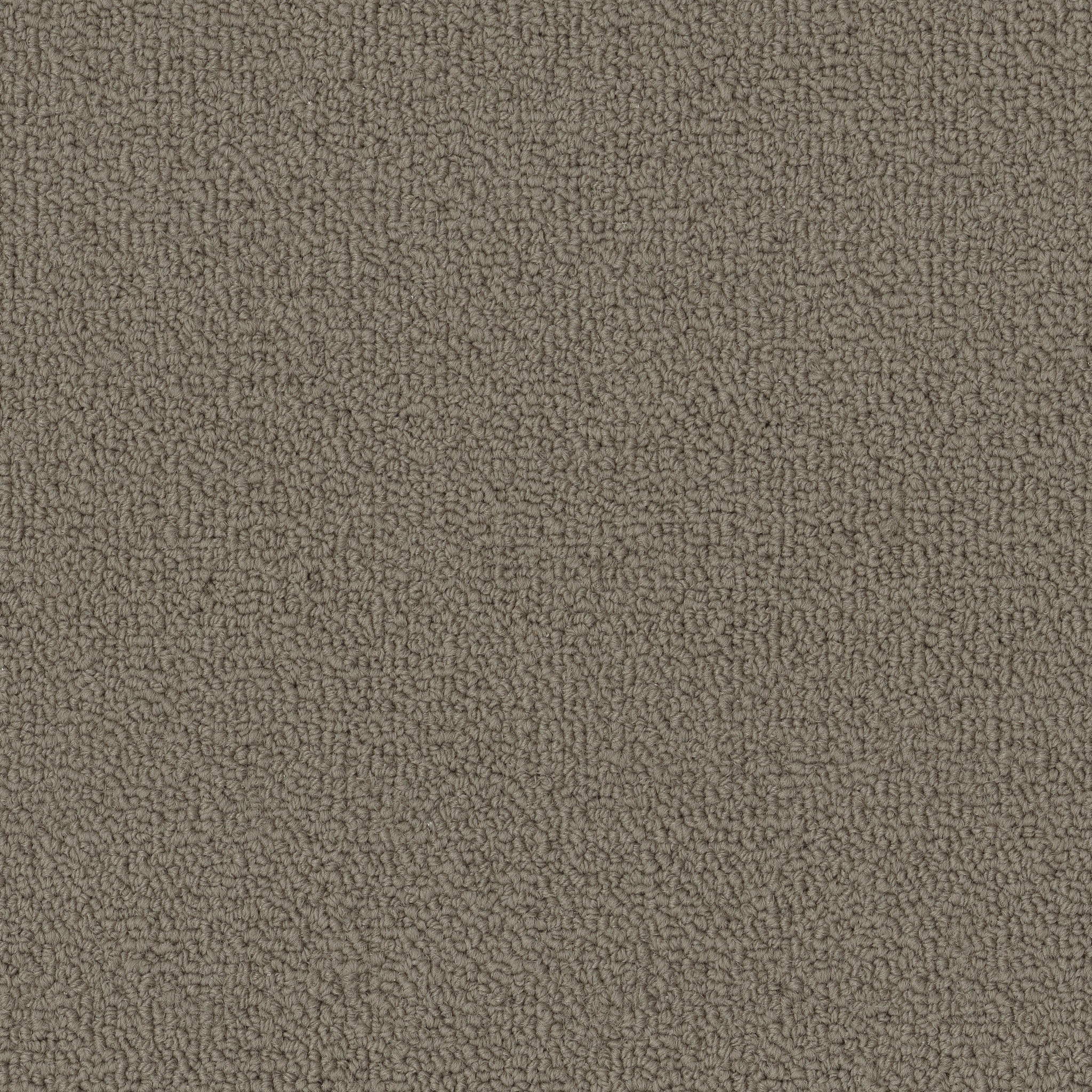 COLOR-ACCENTS-BL-54584-LICHEN-62544-main-image