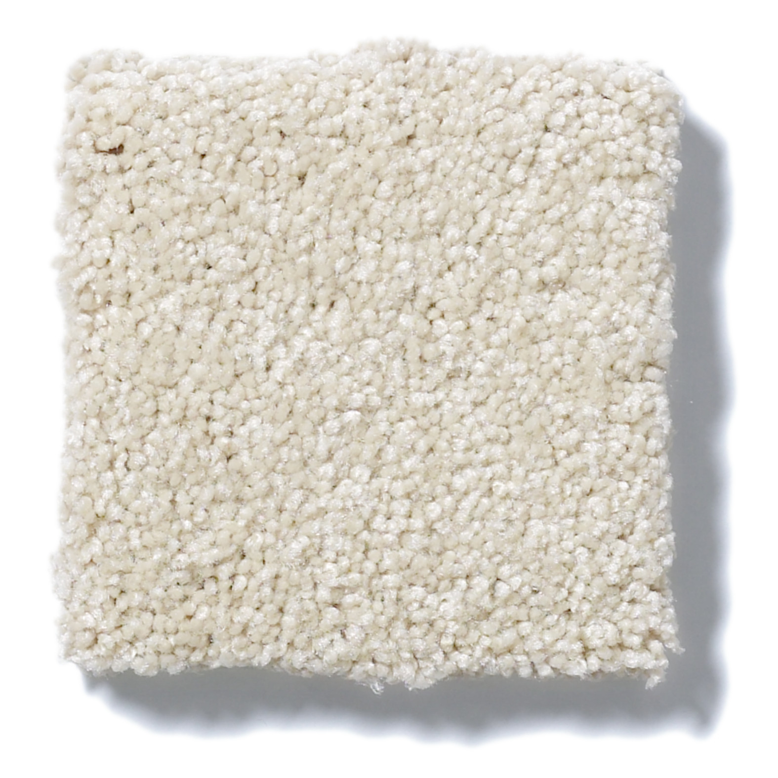 FANTASTICAL SANDY SHORE SWATCH