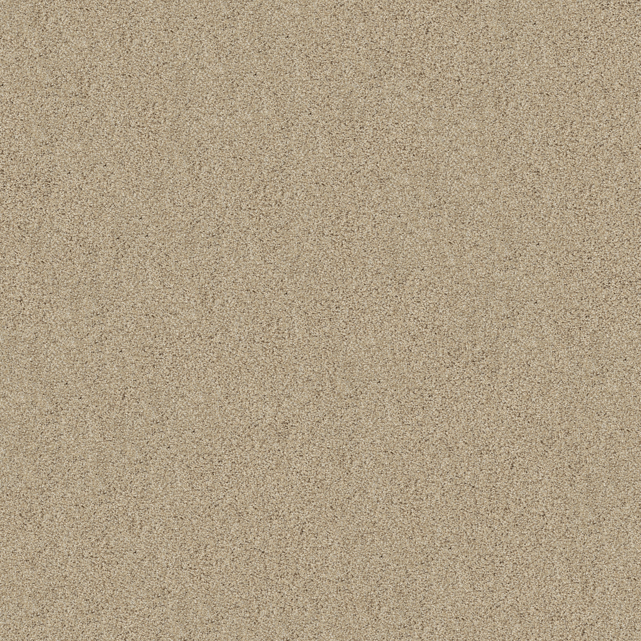 ACADIA PARK SOFTER TAN MAIN