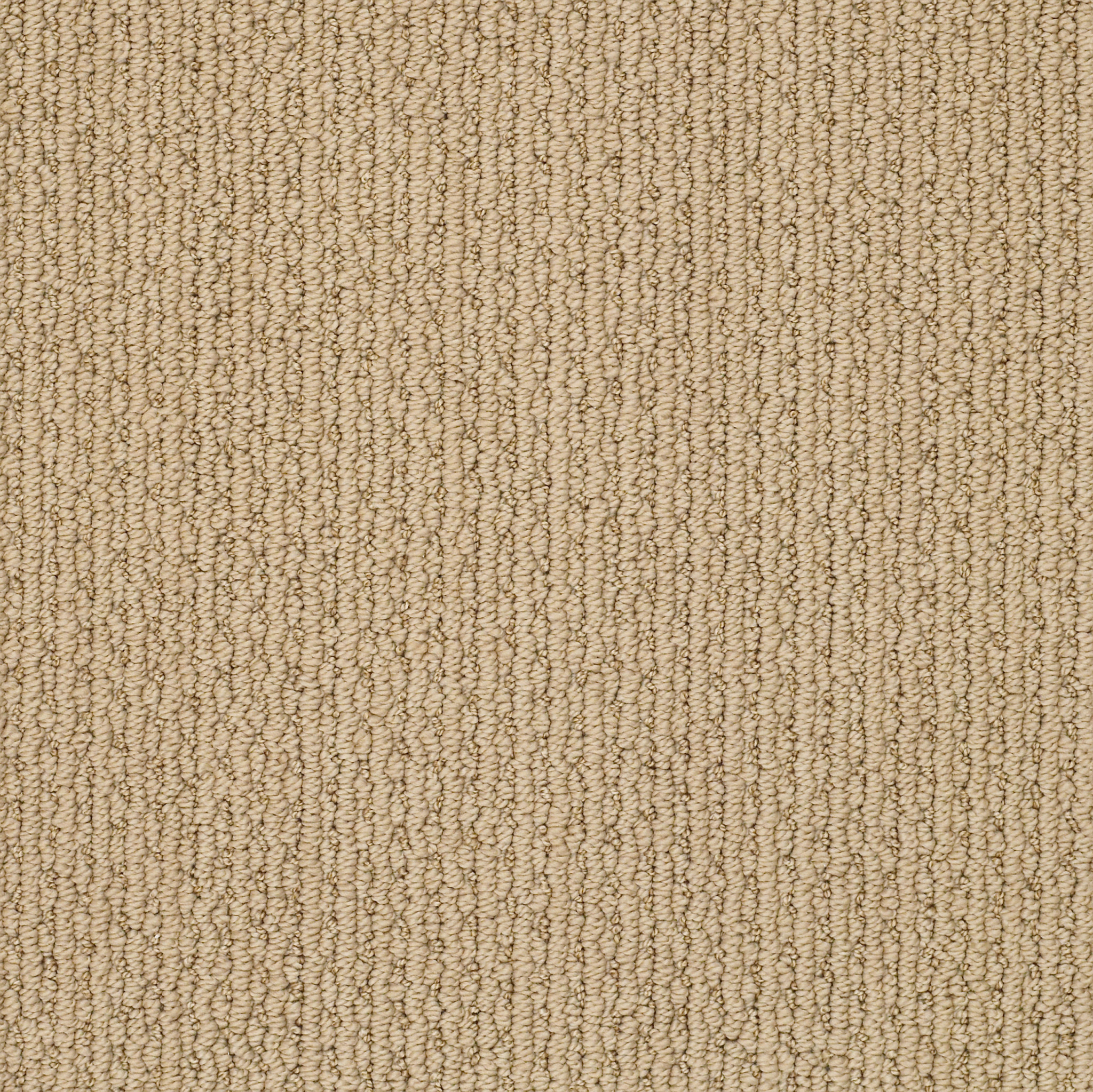 CHAPEL RIDGE CHAMOIS MAIN