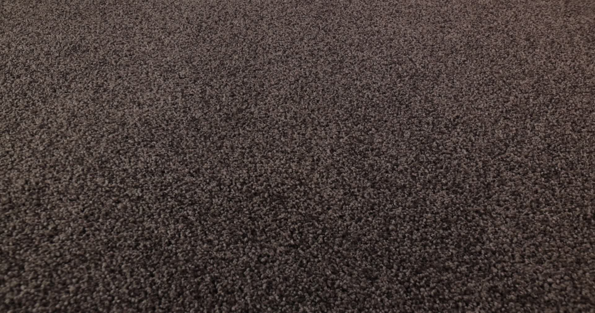 COZY HARBOR I BURMA BROWN 360PROD