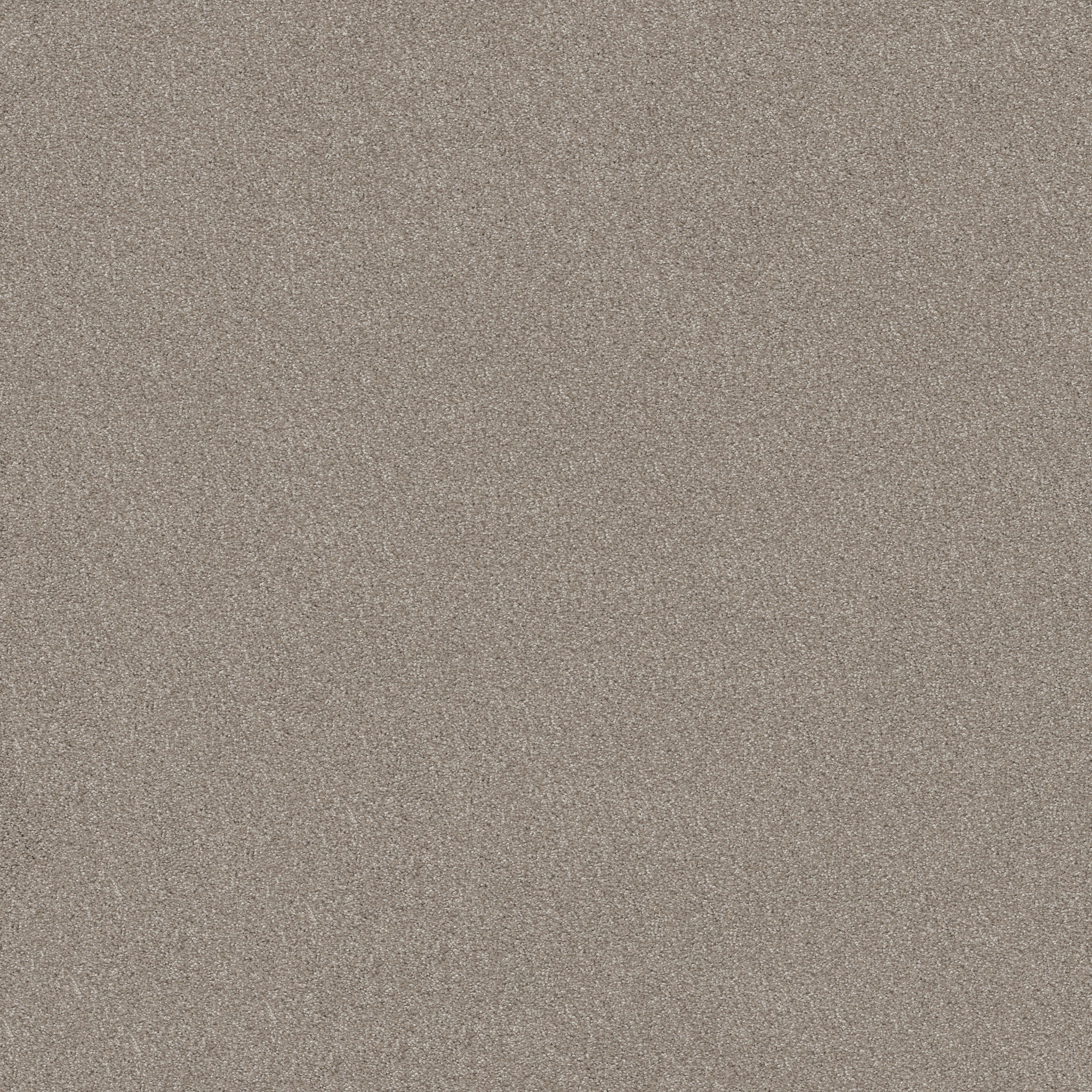 MOMENT OF TRUTH FROSTED ICE MAIN