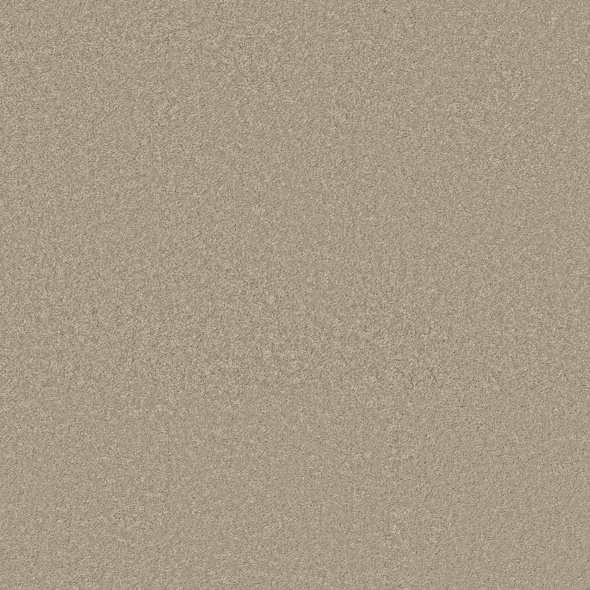 WAY TO GO II DESERT KHAKI MAIN