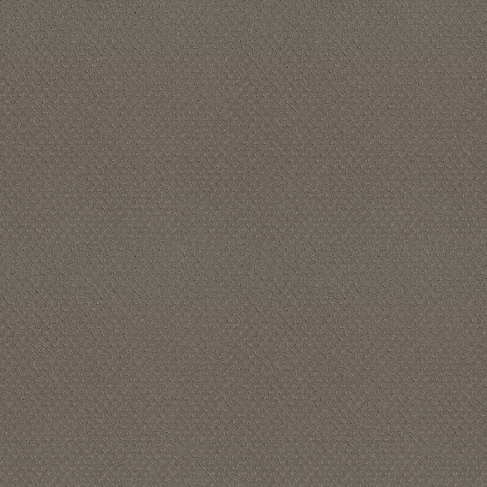 DEL VISTA STILL GRAY MAIN