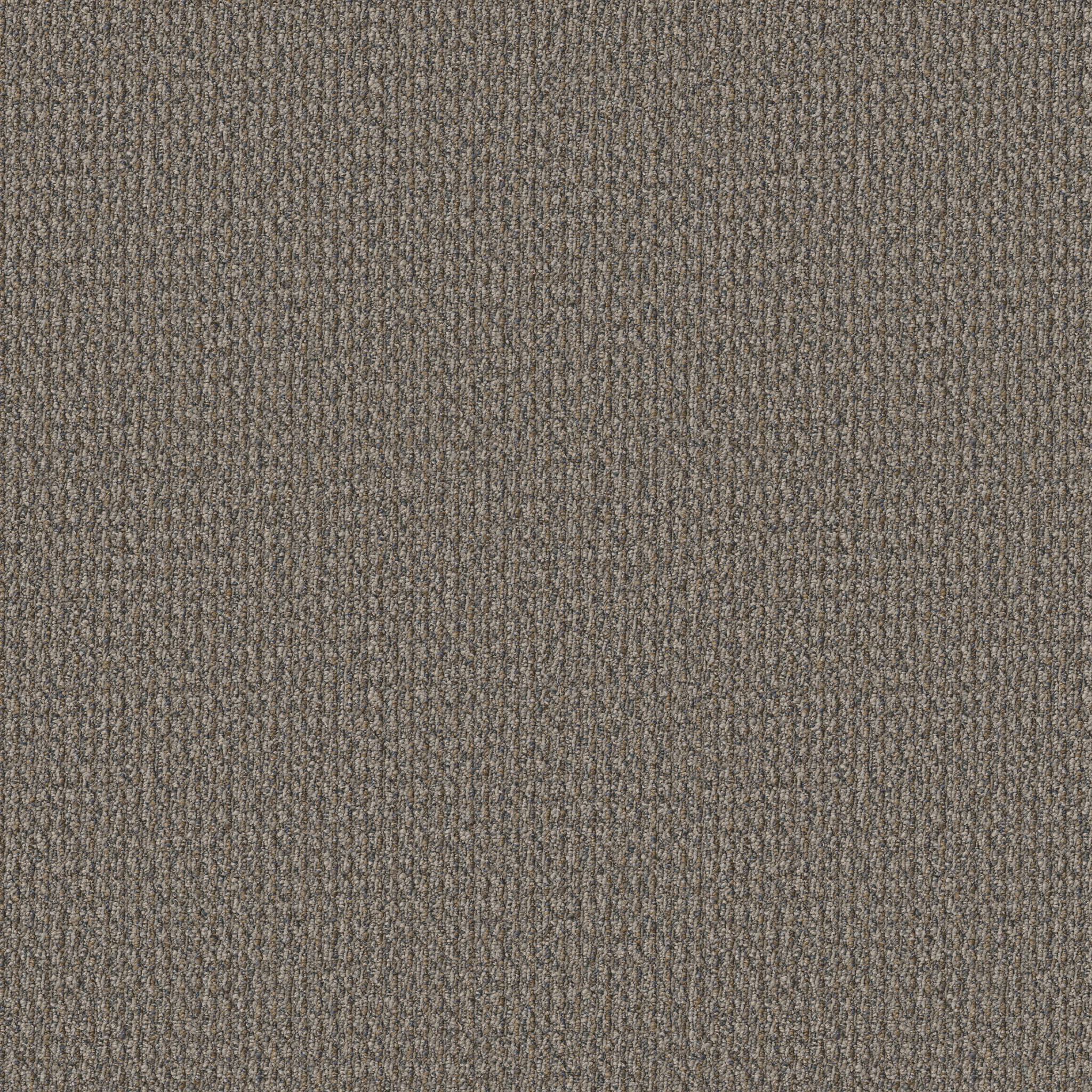 PRELUDE-54990-LEAD-IN-00700-main-image