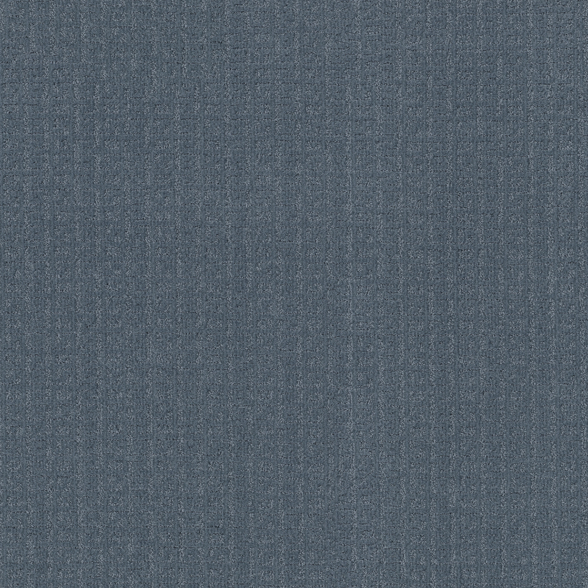 VIGNETTE TIDAL POOL MAIN