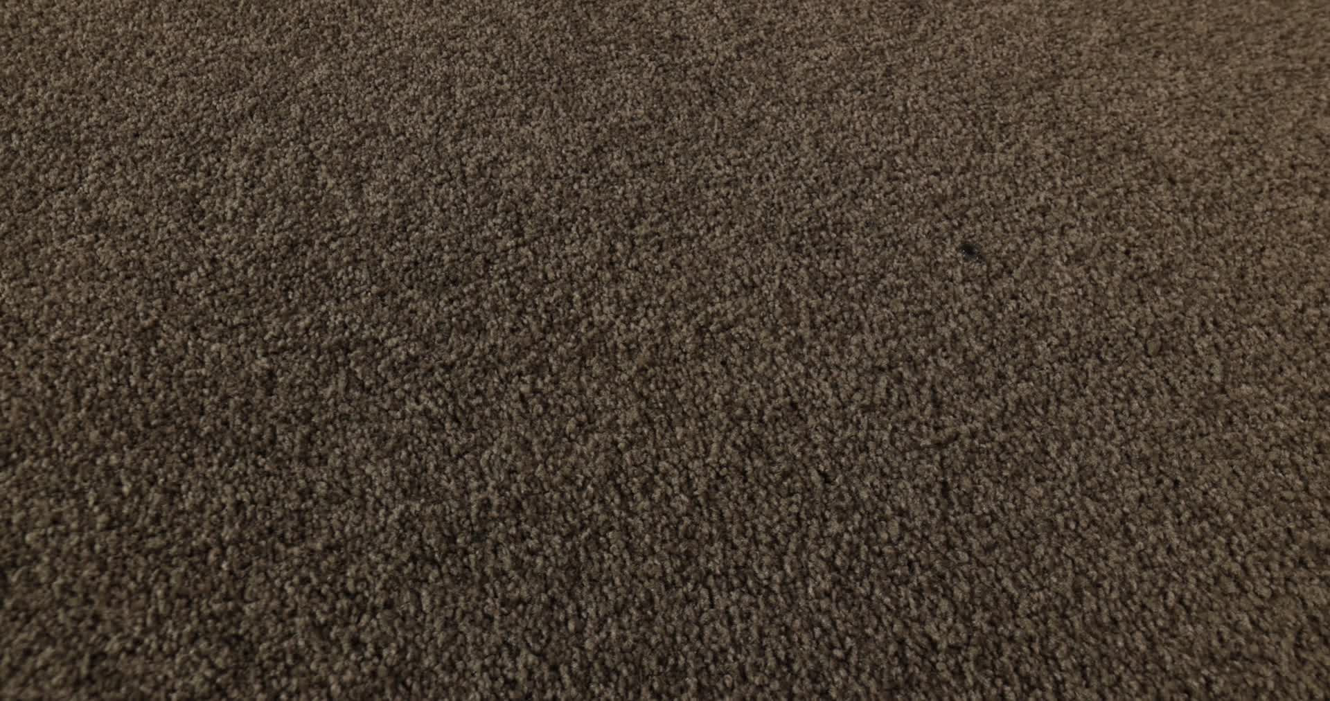 LOOK FORWARD SEDONA 360PROD