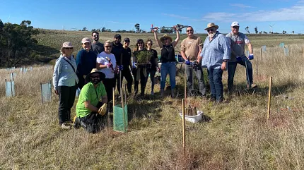 Community Tree Planting Event in Open Field Group of people planting trees in a grassy field under a blue sky