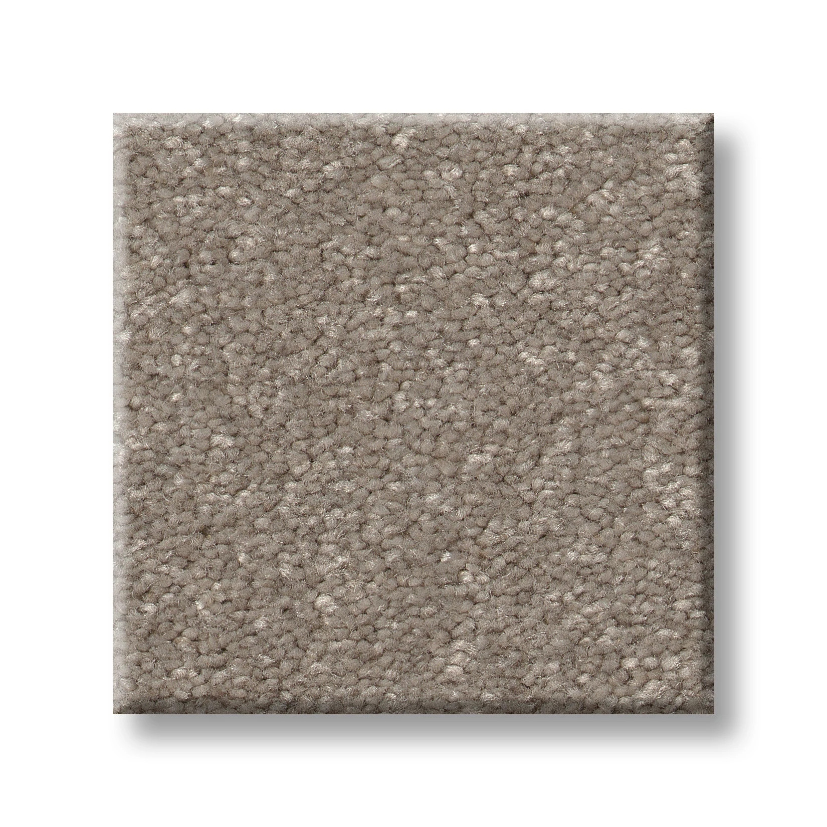 HARD AT PLAY II 12' CHIC GREIGE SWATCH