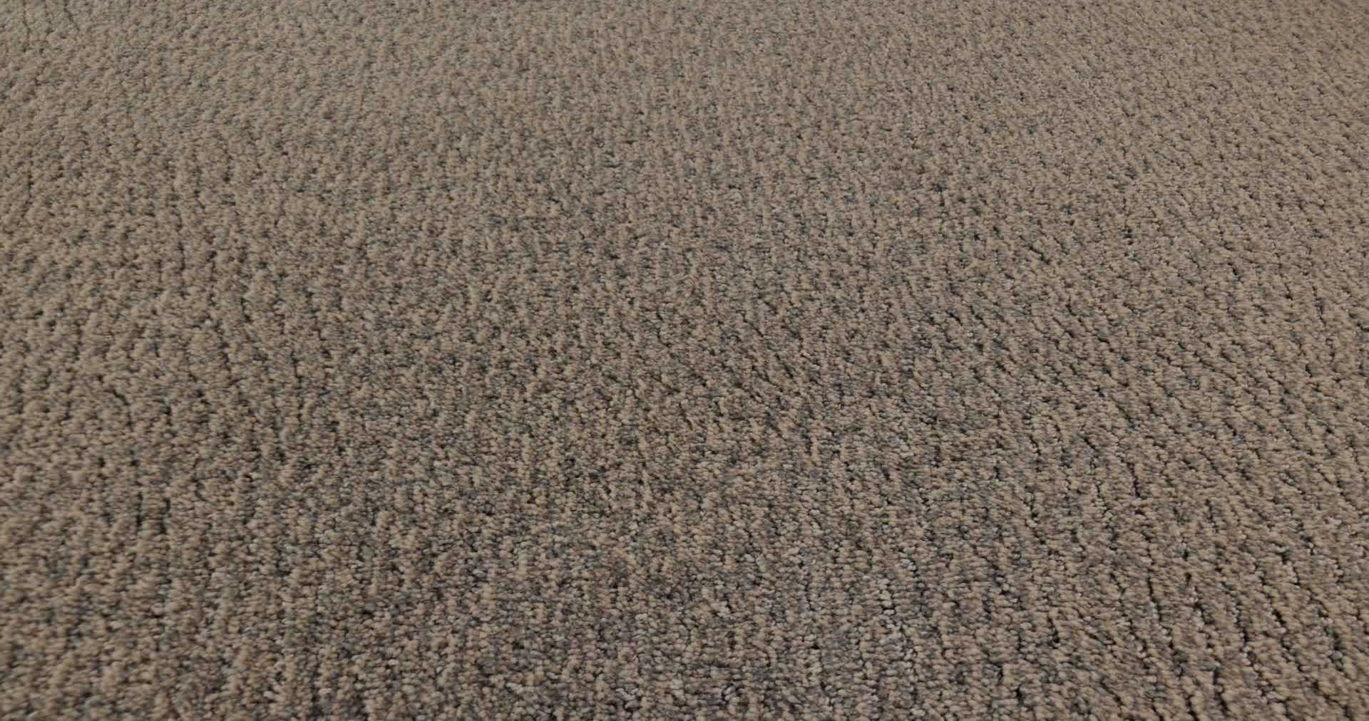 FUR-EVER CLOUD COVER 360PROD