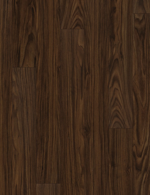 Black Walnut